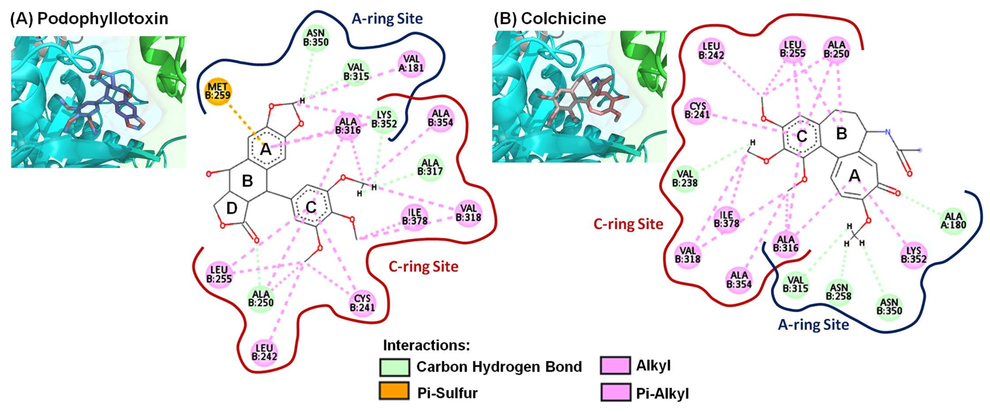 Molecules 28 00555 g004