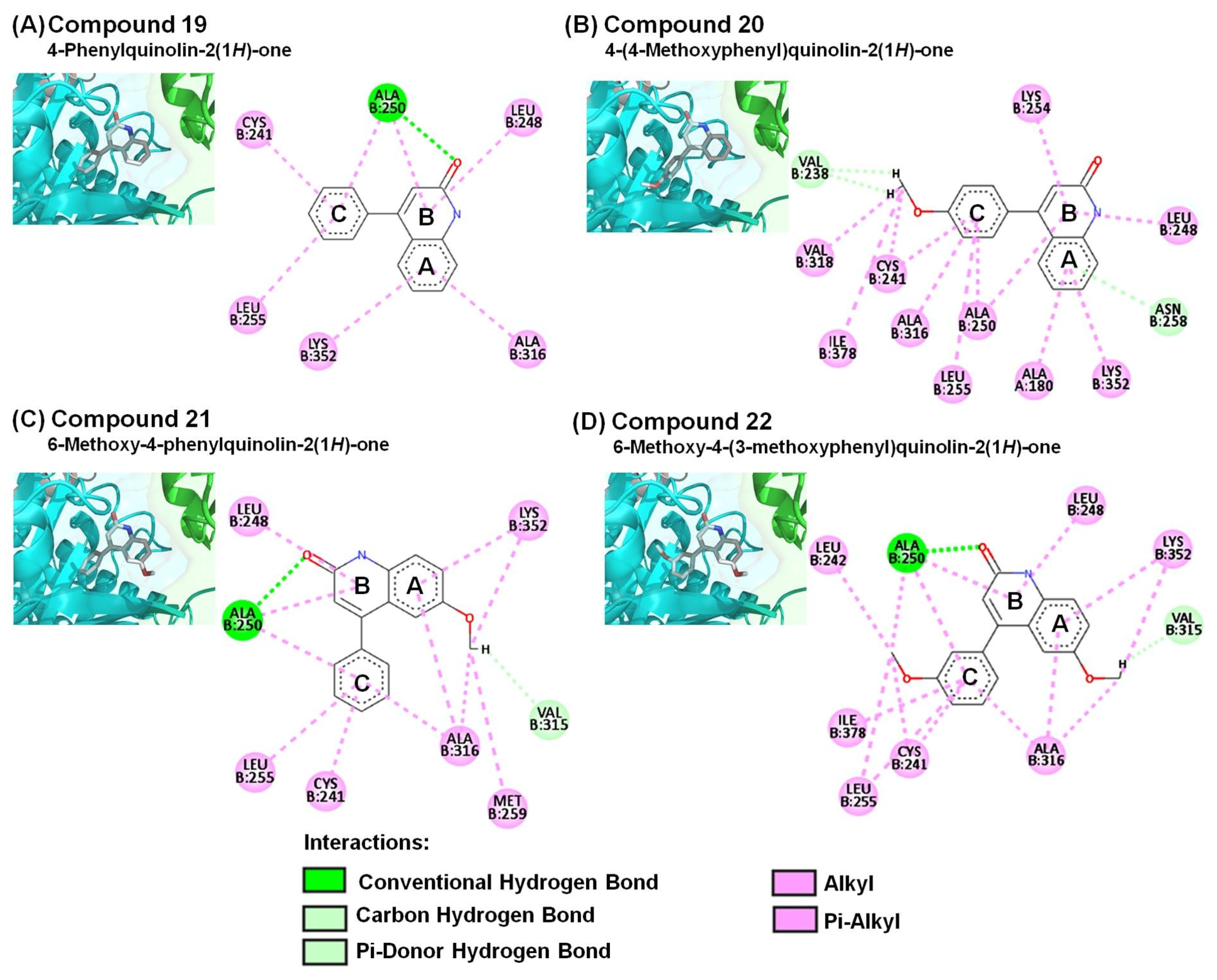 Molecules 28 00555 g005