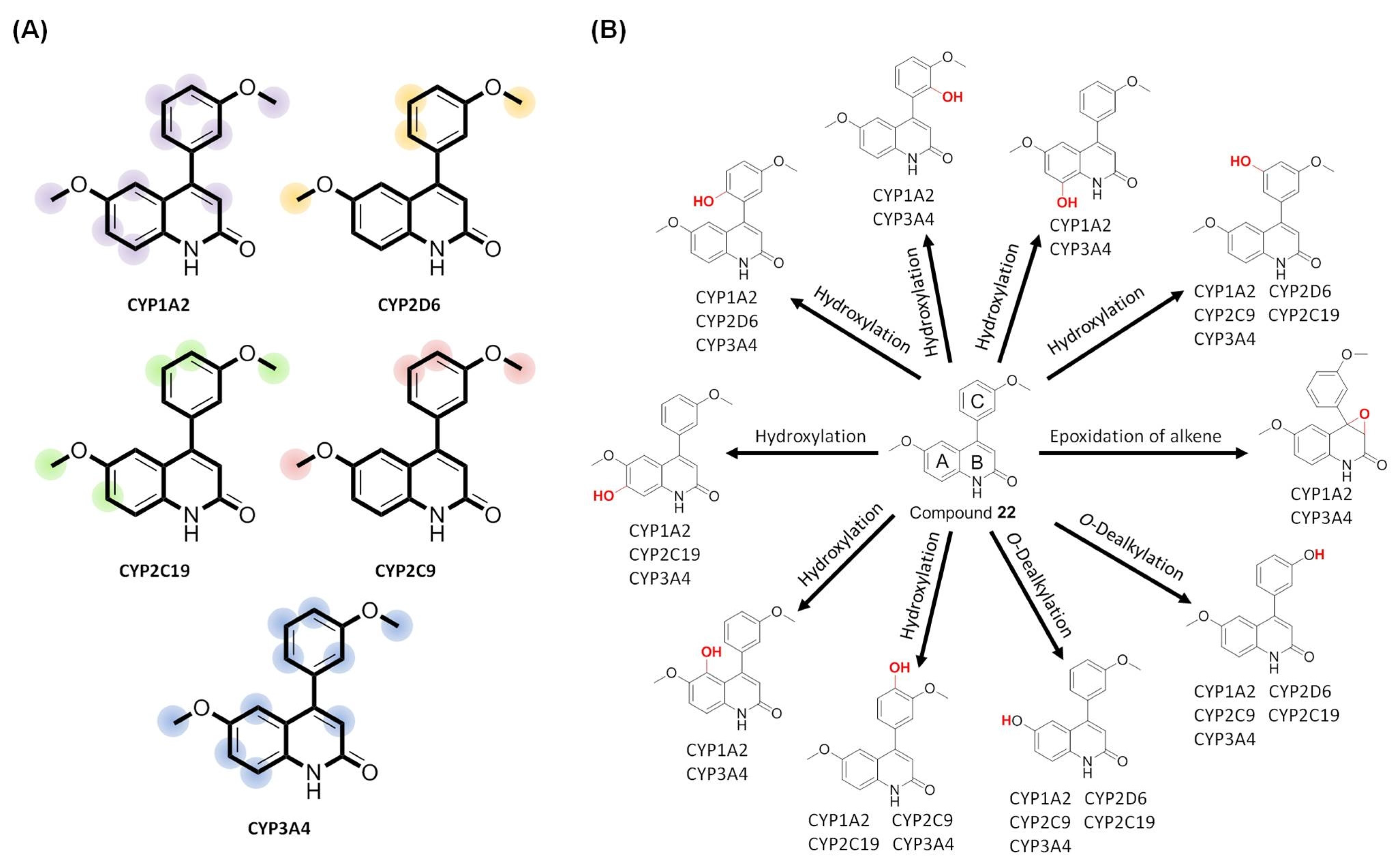Molecules 28 00555 g008