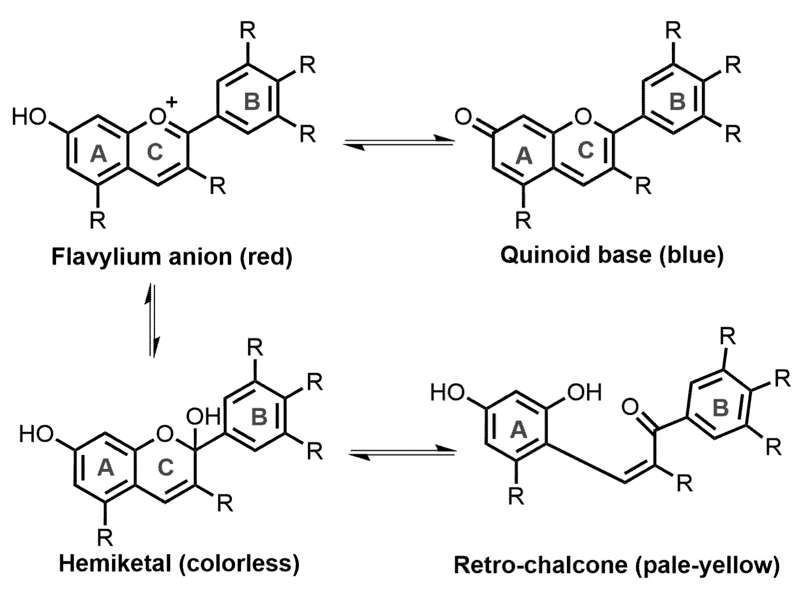 Molecules 28 00560 g002 Molecules 28 00560 g002