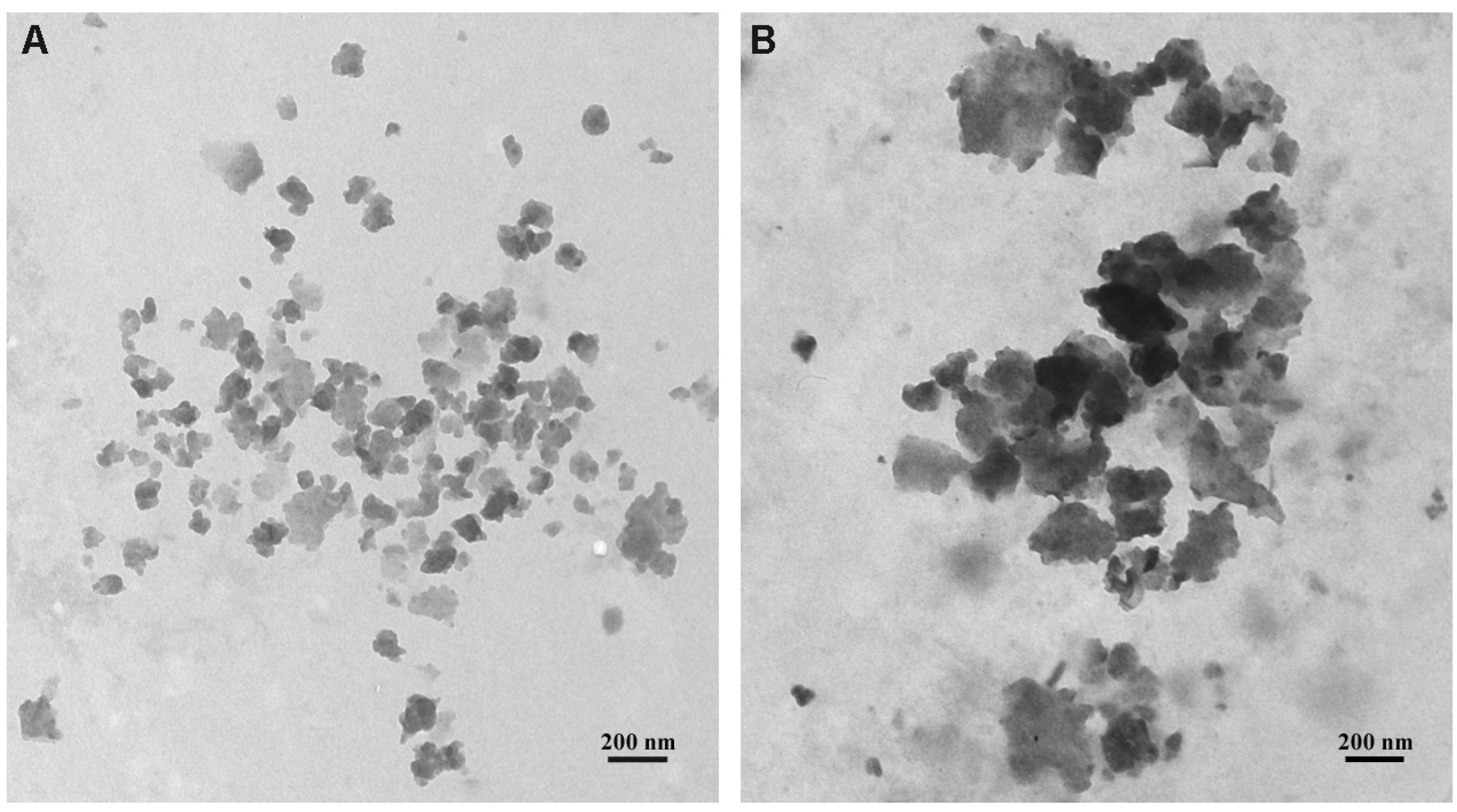 Molecules 28 00565 g003