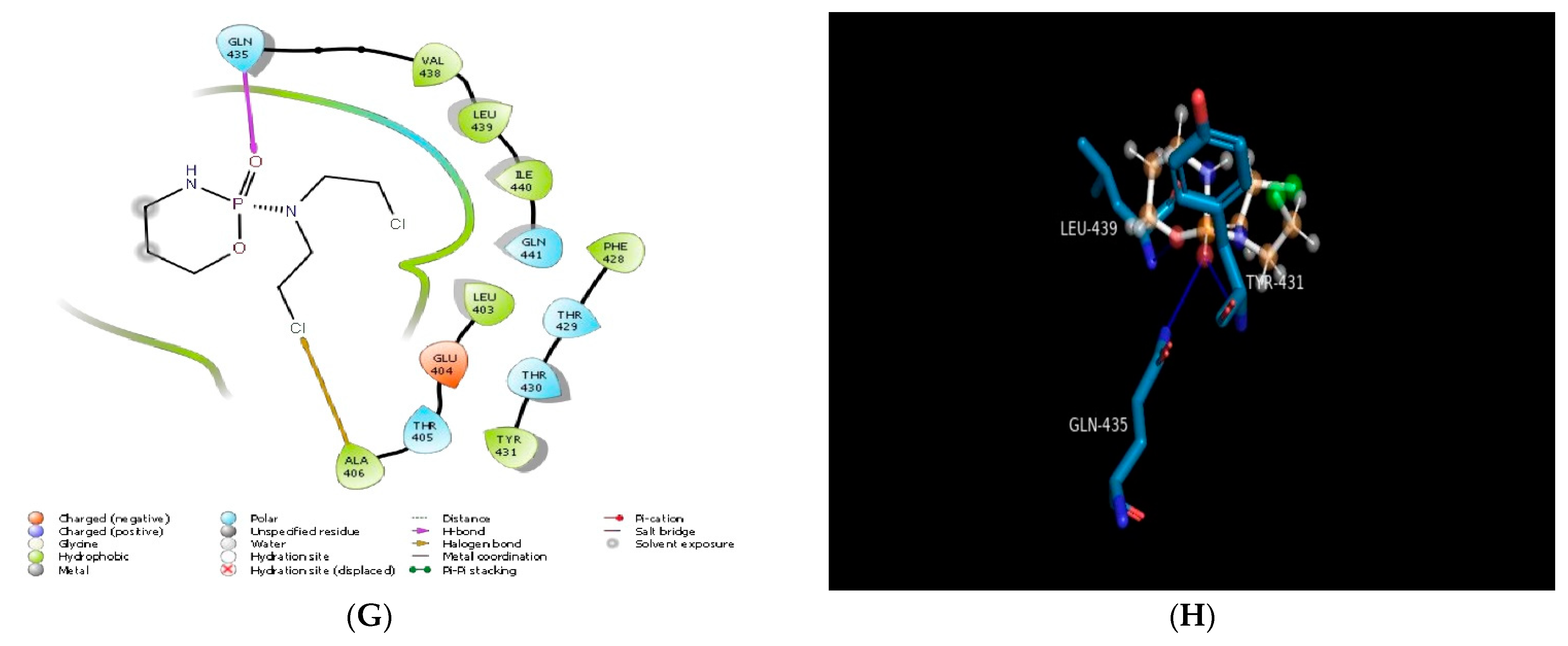 Molecules 28 00574 g001b Molecules 28 00574 g001b