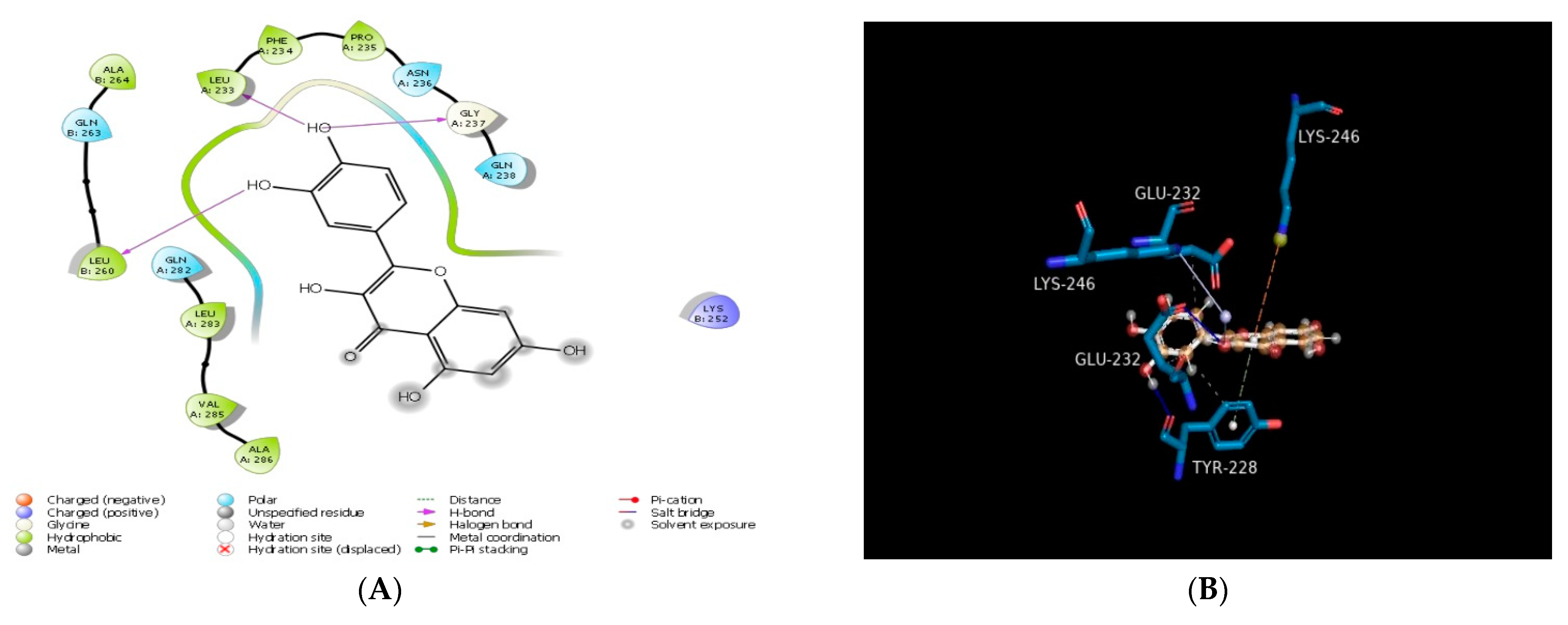 Molecules 28 00574 g002a Molecules 28 00574 g002a