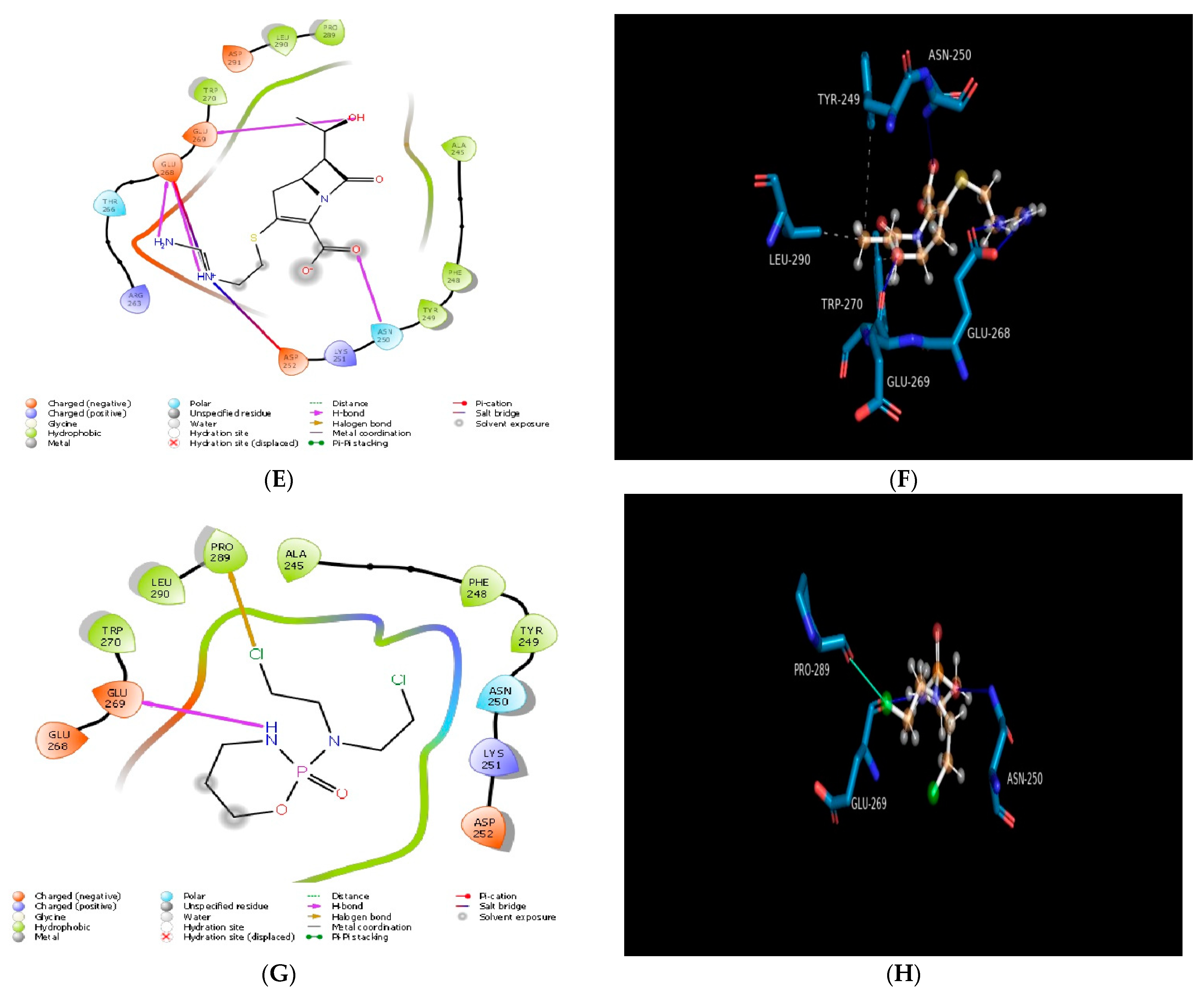 Molecules 28 00574 g003b Molecules 28 00574 g003b
