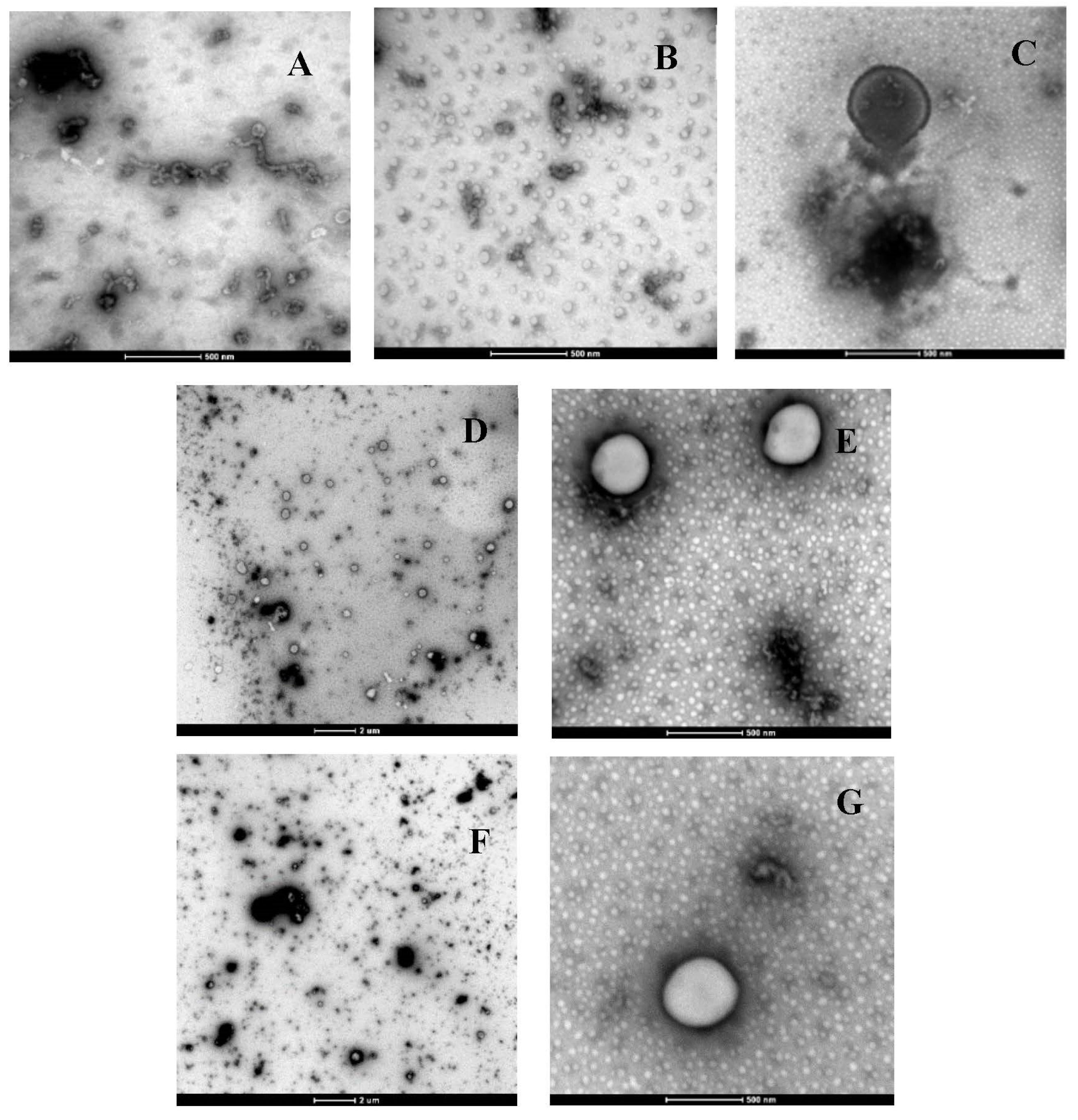 Molecules 28 00575 g002