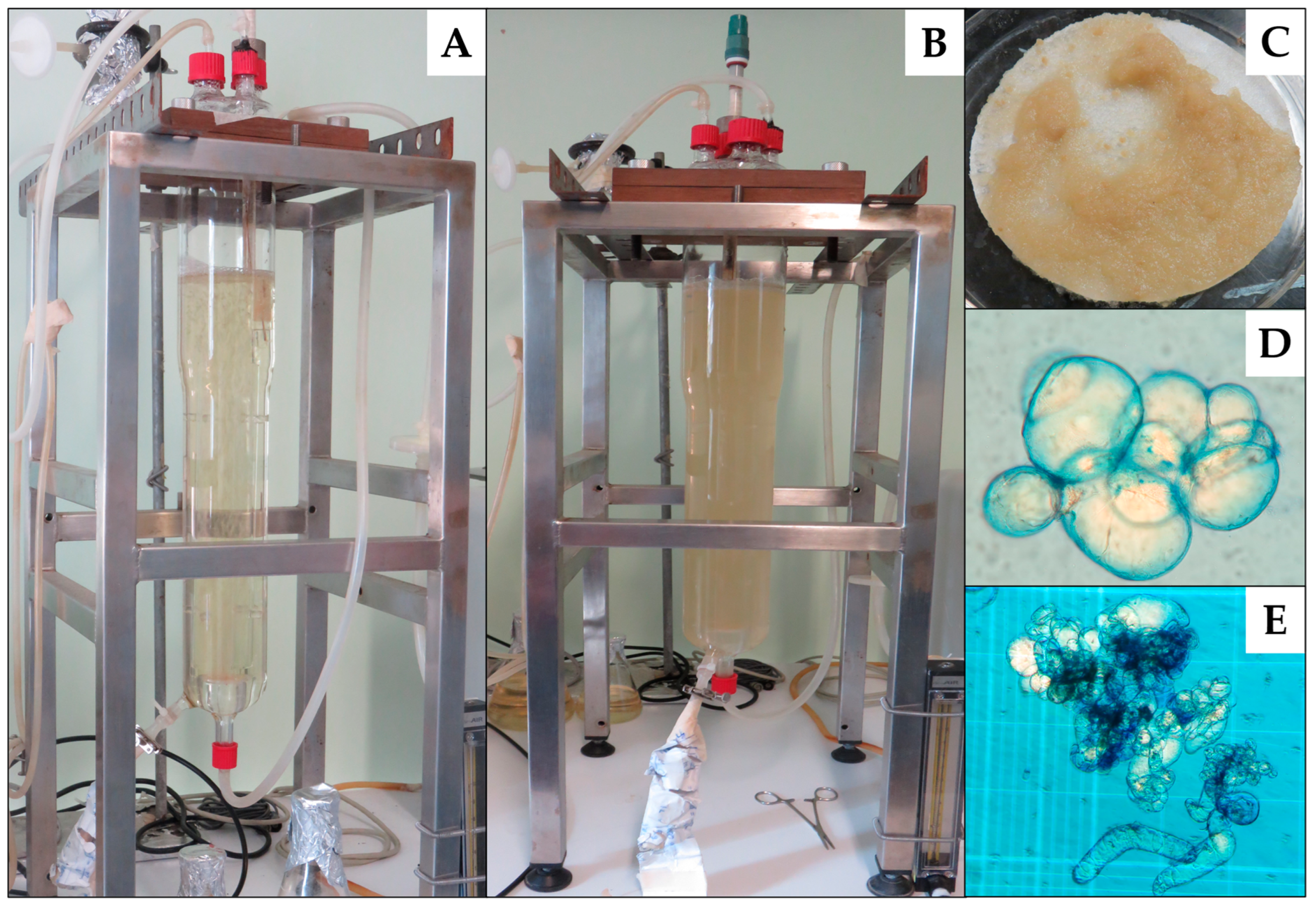 Molecules 28 00578 g005