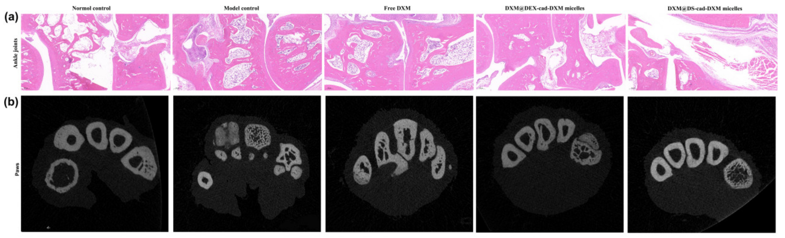 Molecules 28 00591 g008