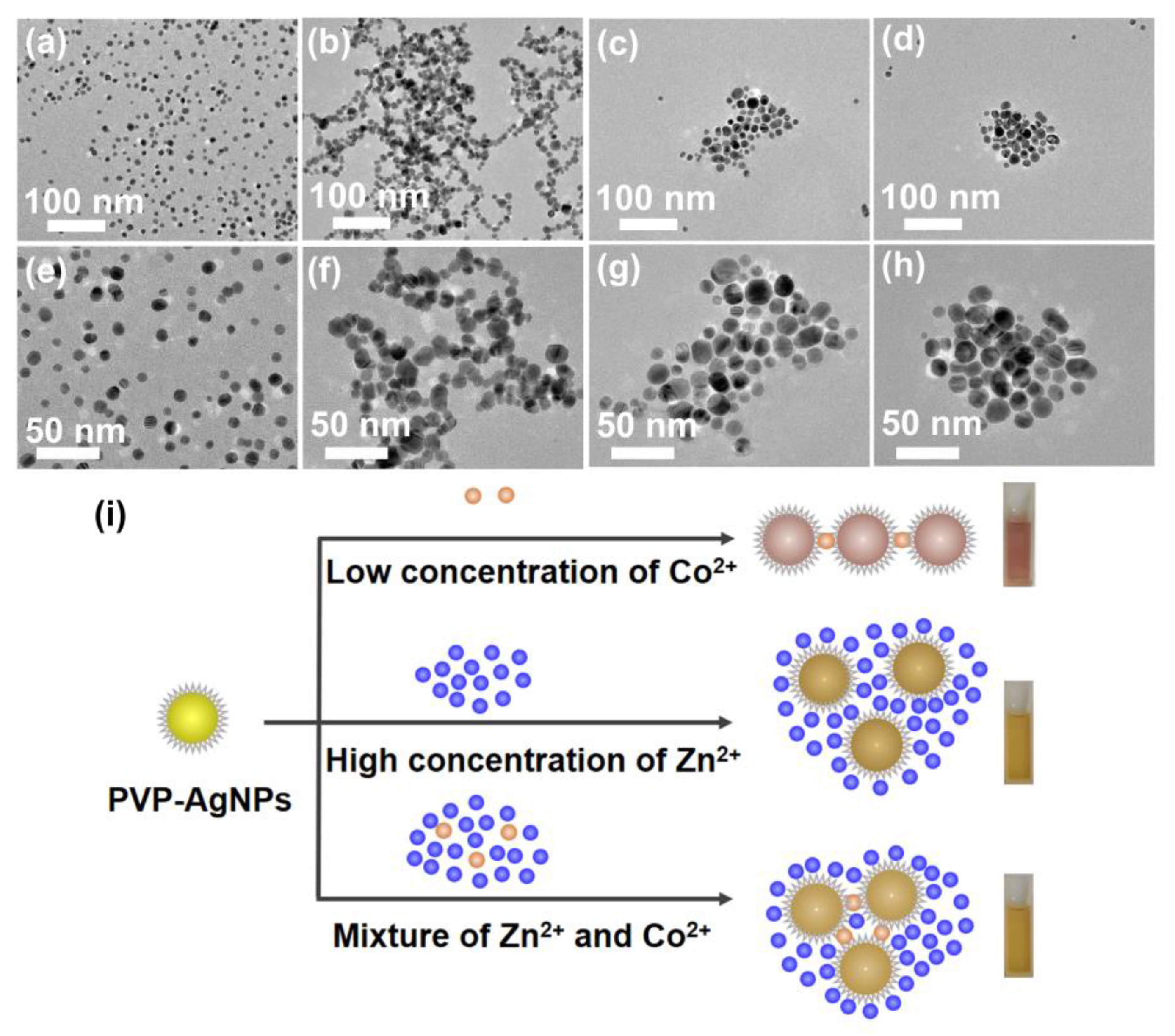 Molecules 28 00592 g005 Molecules 28 00592 g005