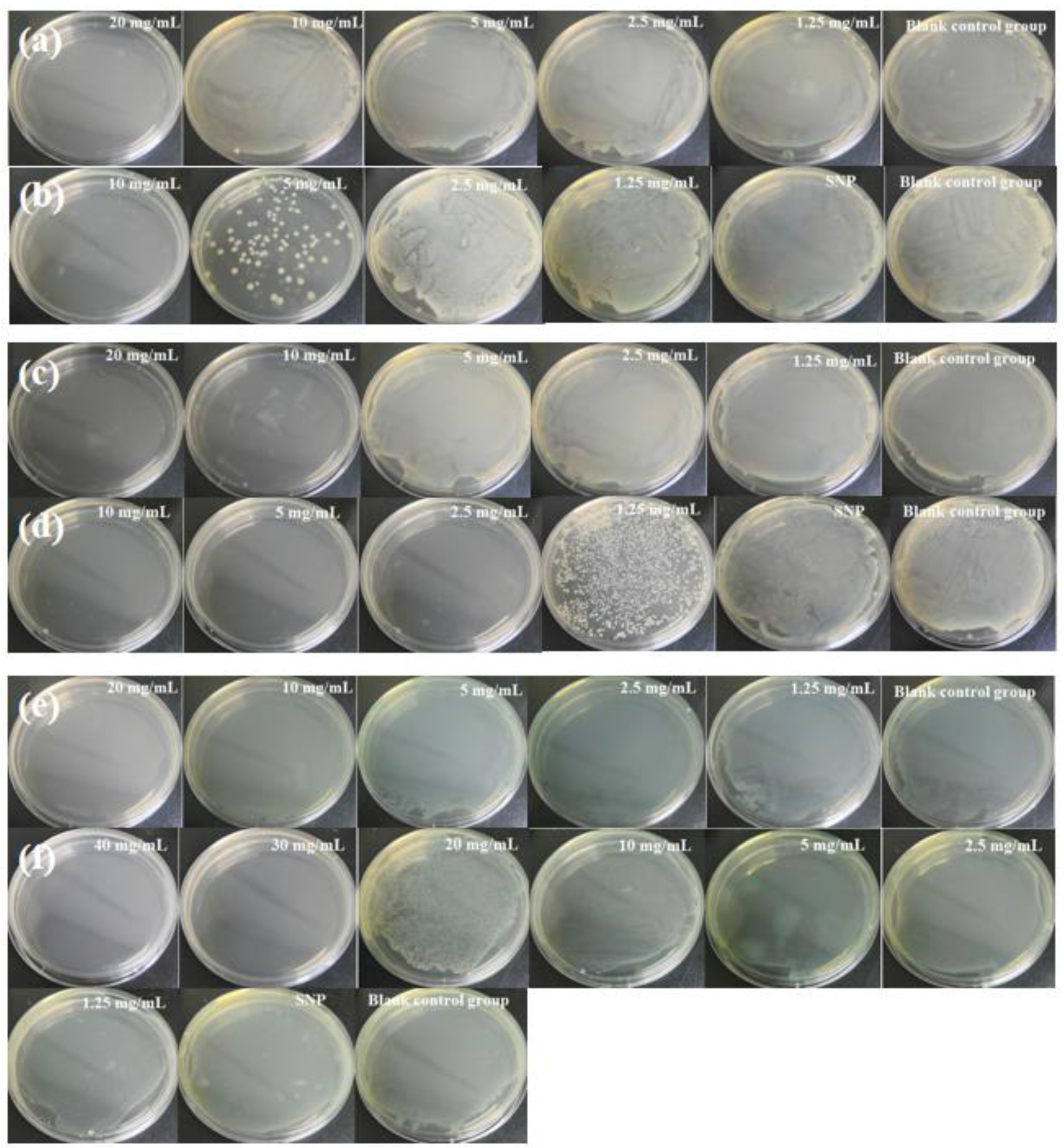 Molecules 28 00594 g007