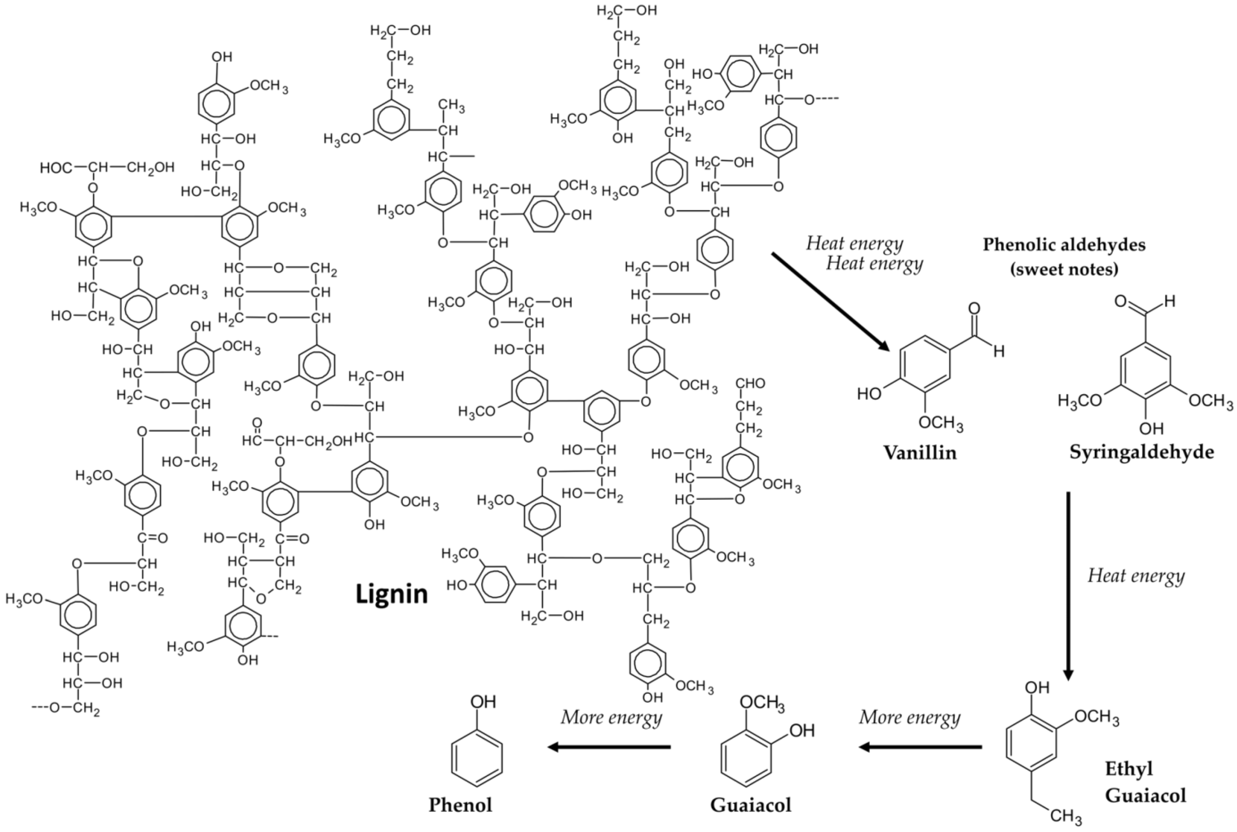 Molecules 28 00620 g003 Molecules 28 00620 g003