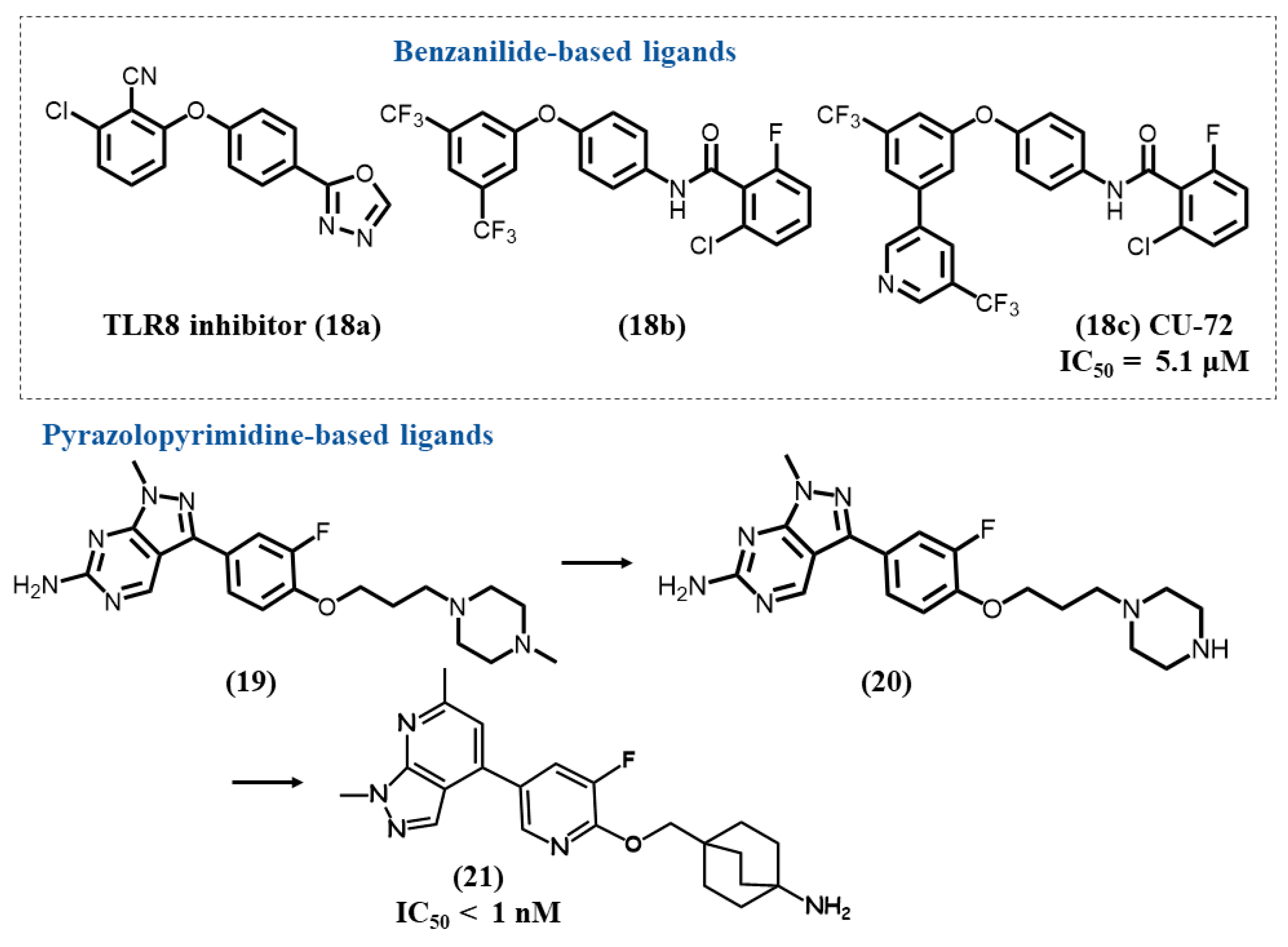 Molecules 28 00634 g006