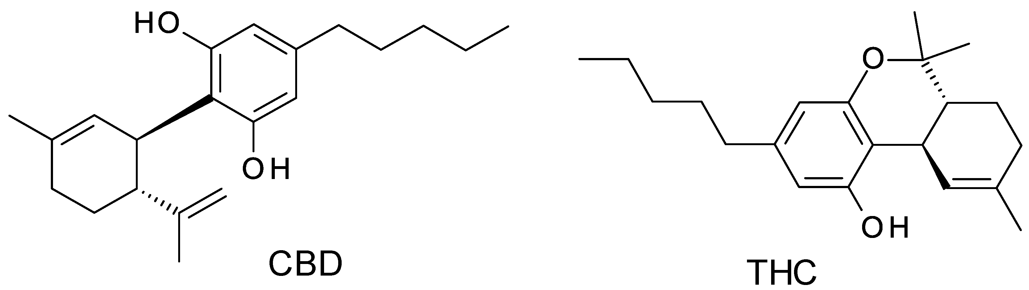 Molecules 28 00638 g002