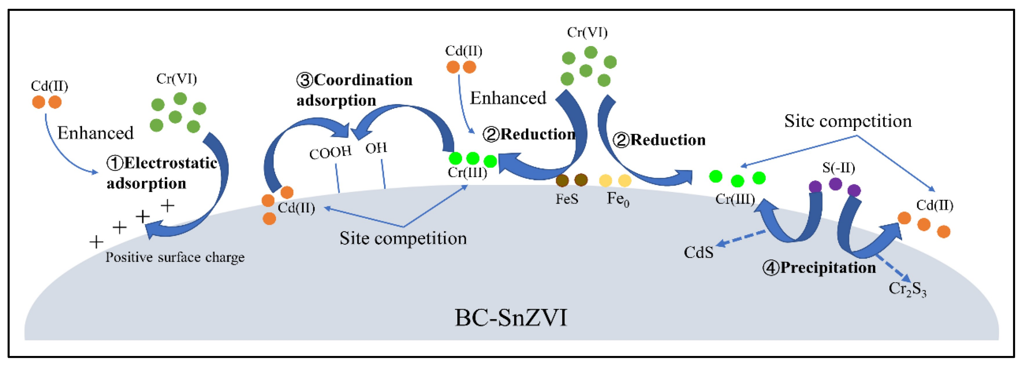 Molecules 28 00639 g005