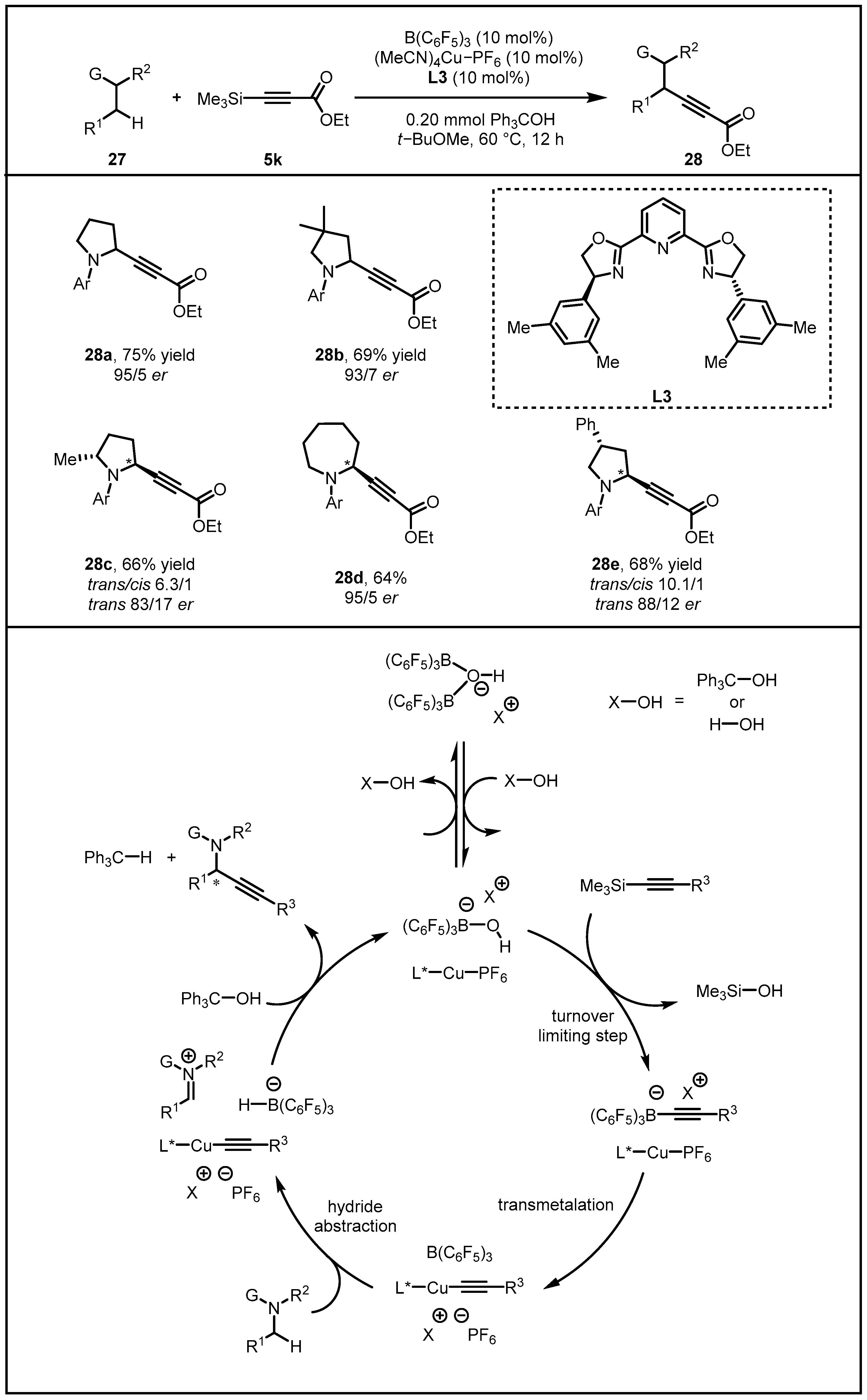 Molecules 28 00642 g011 Molecules 28 00642 g011