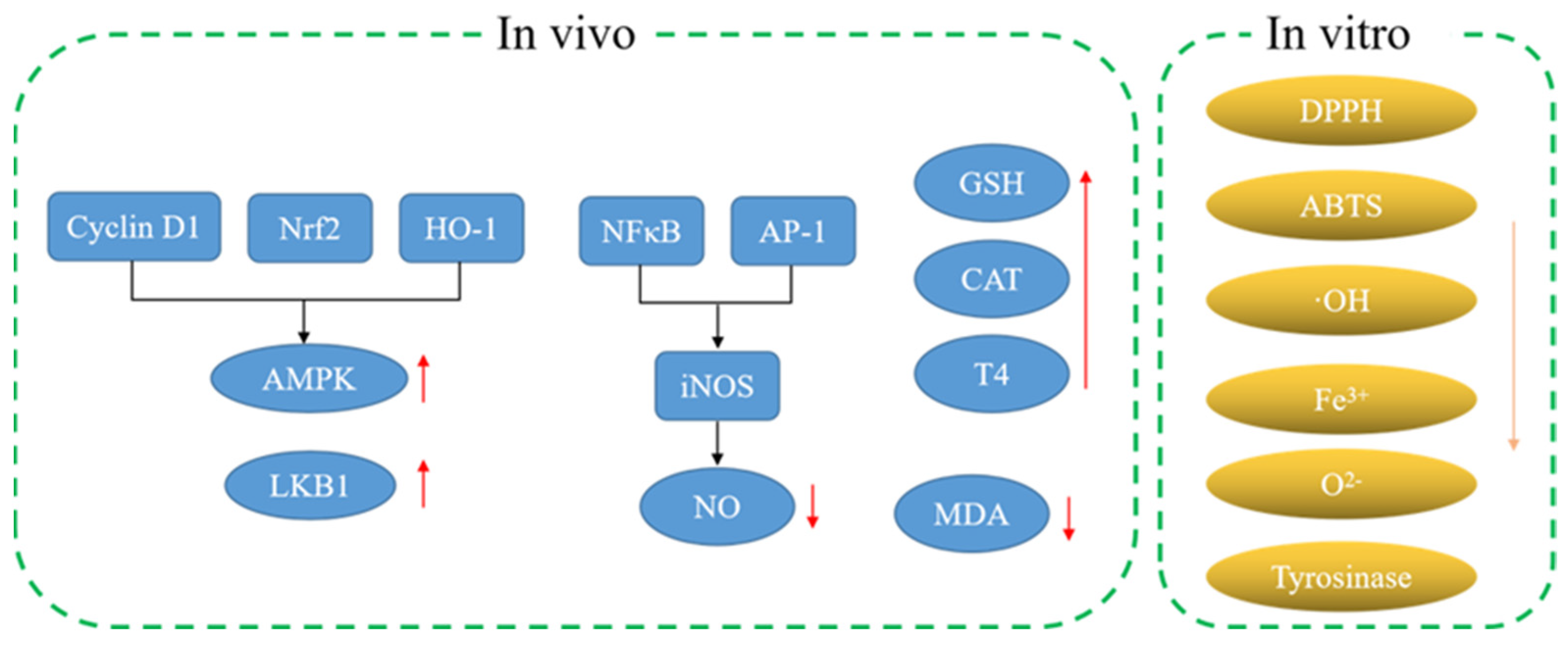 Molecules 28 00658 g002 Molecules 28 00658 g002