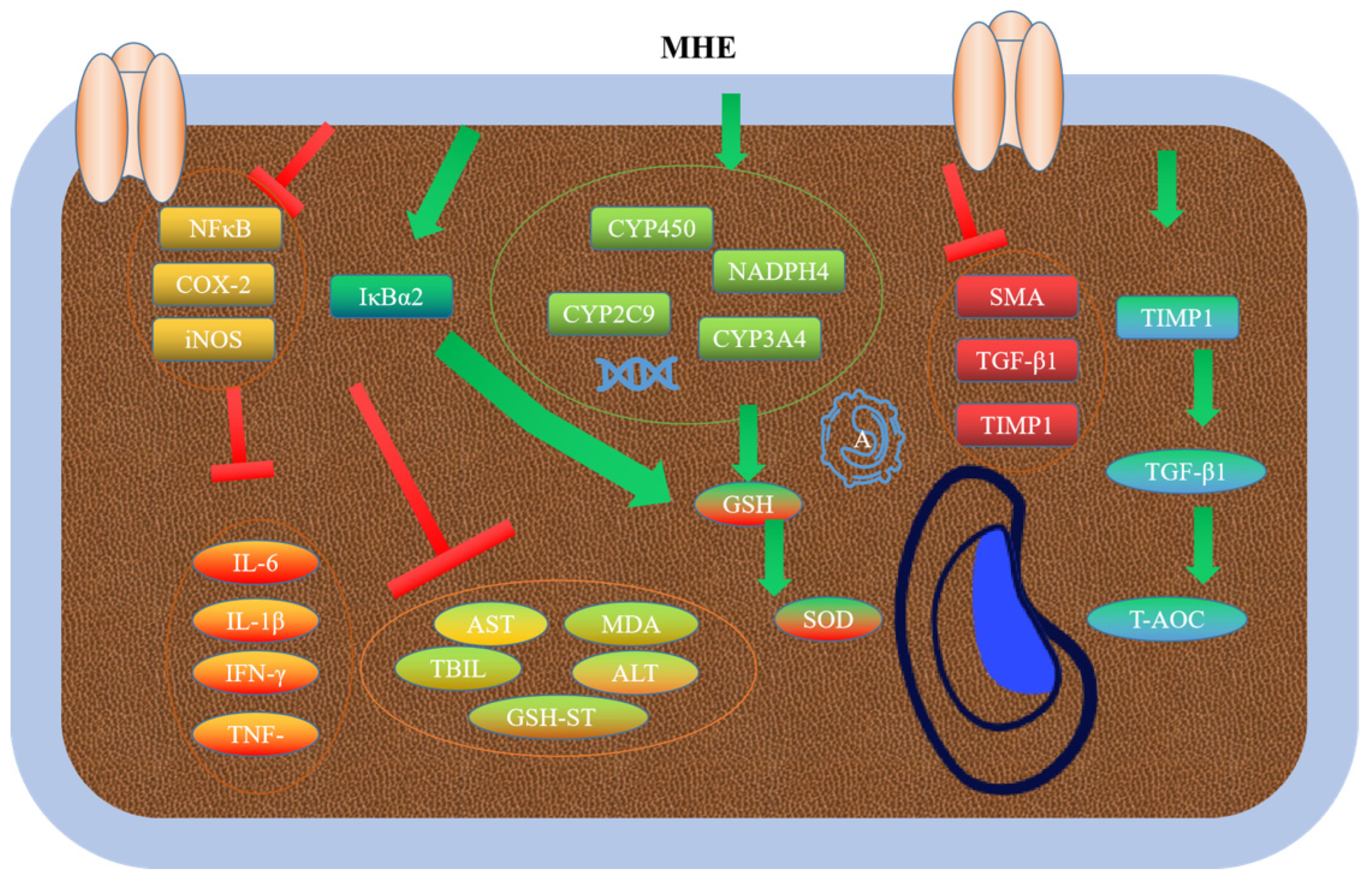 Molecules 28 00658 g006 Molecules 28 00658 g006
