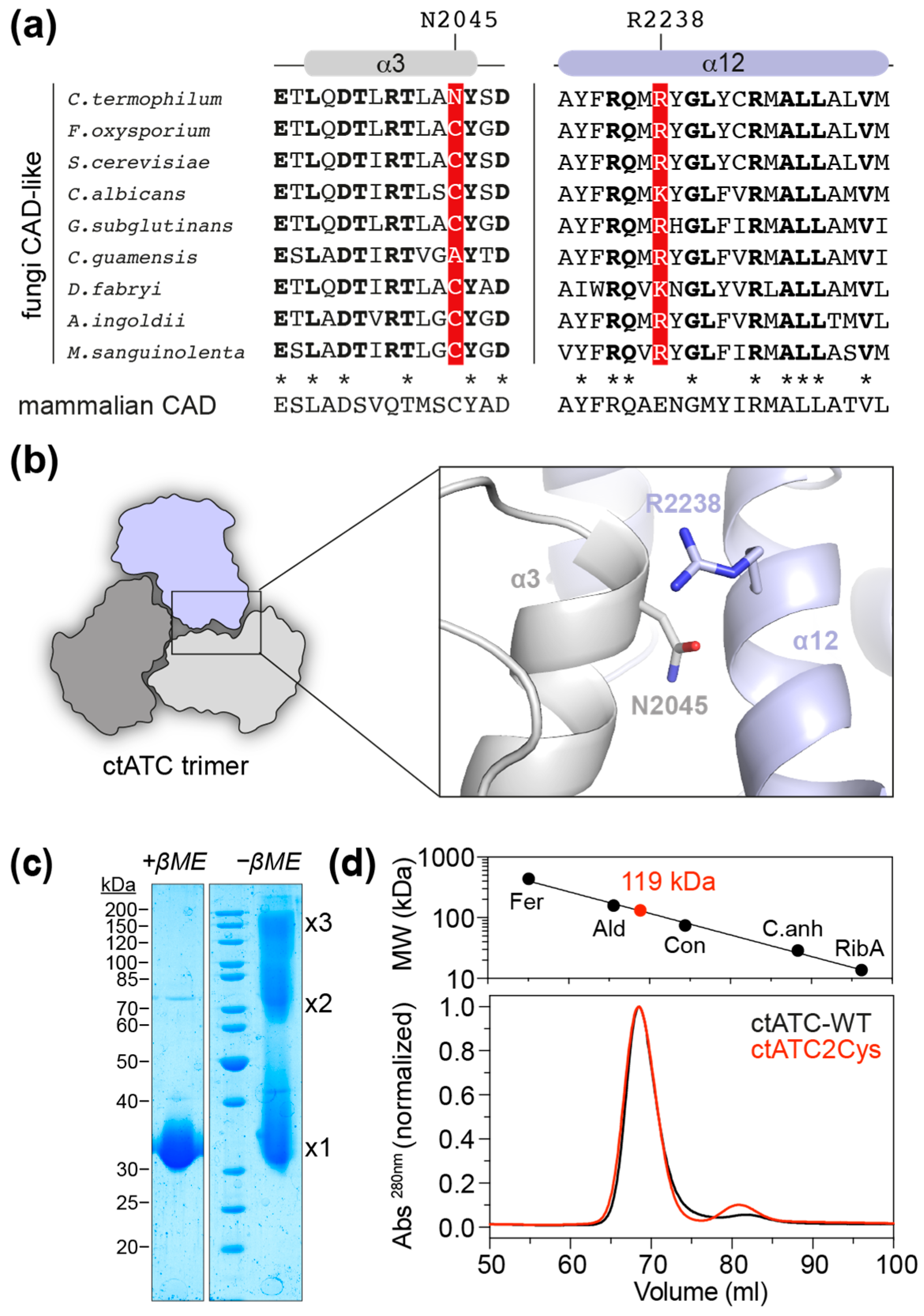Molecules 28 00660 g002 Molecules 28 00660 g002
