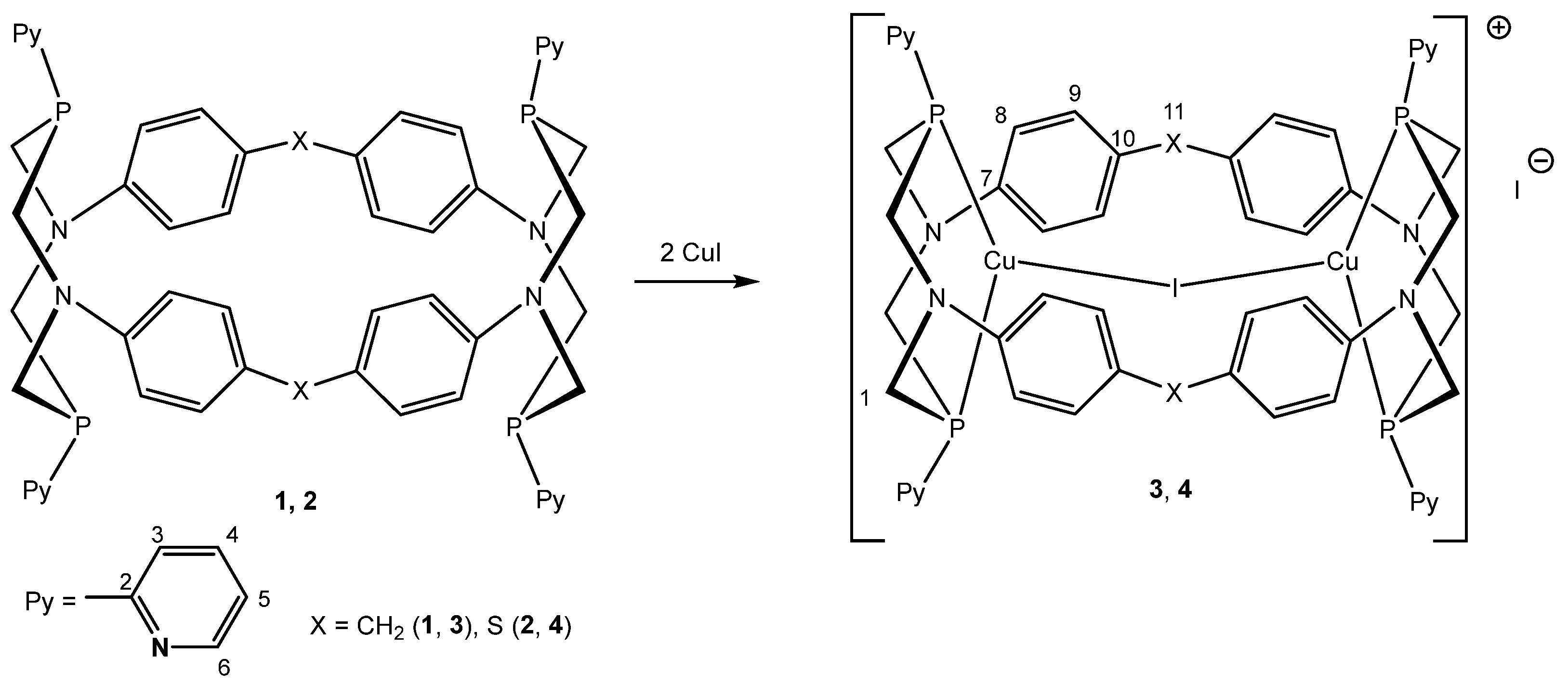 Molecules 28 00680 sch002