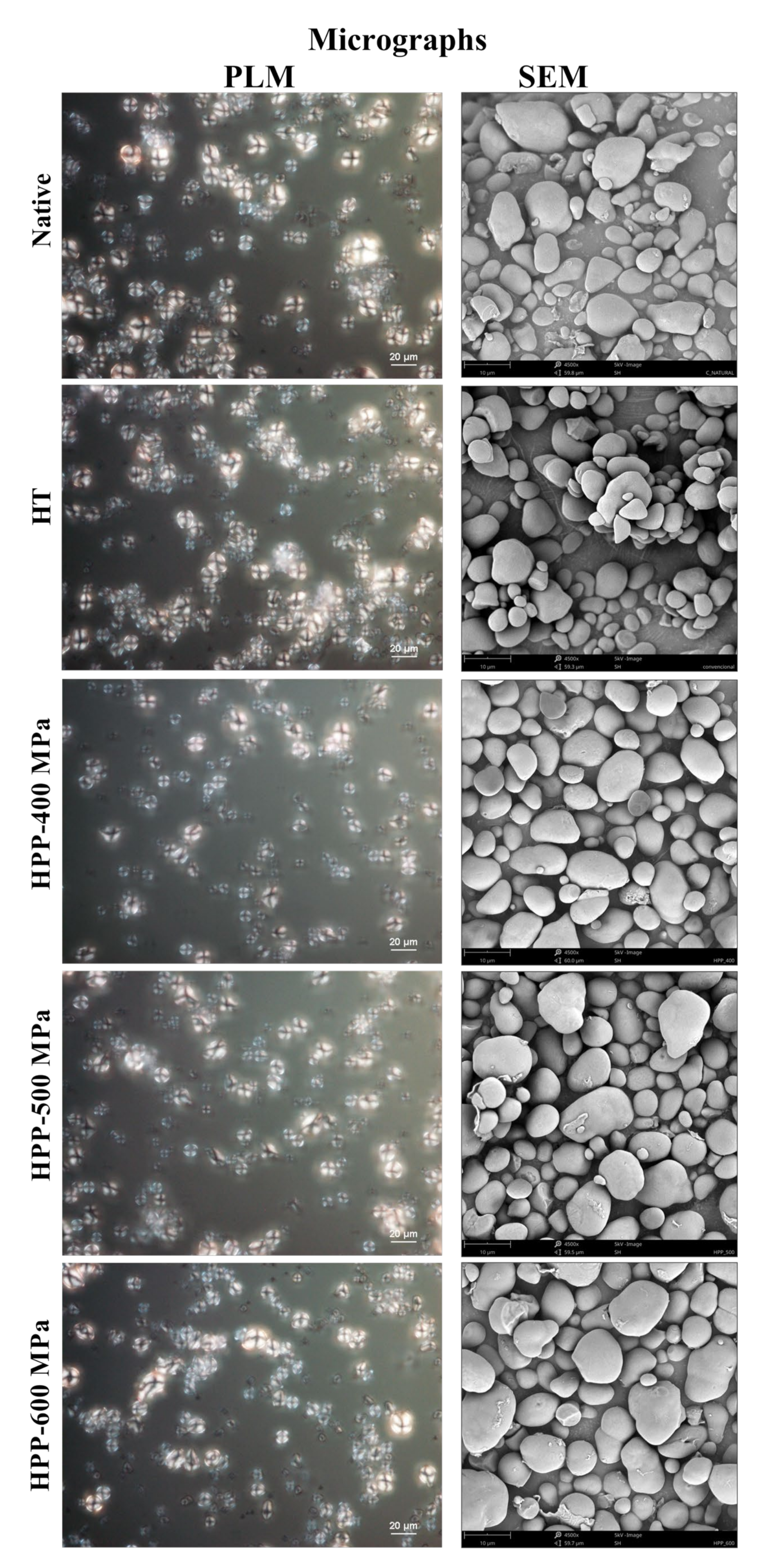 Molecules 28 00700 g004 Molecules 28 00700 g004
