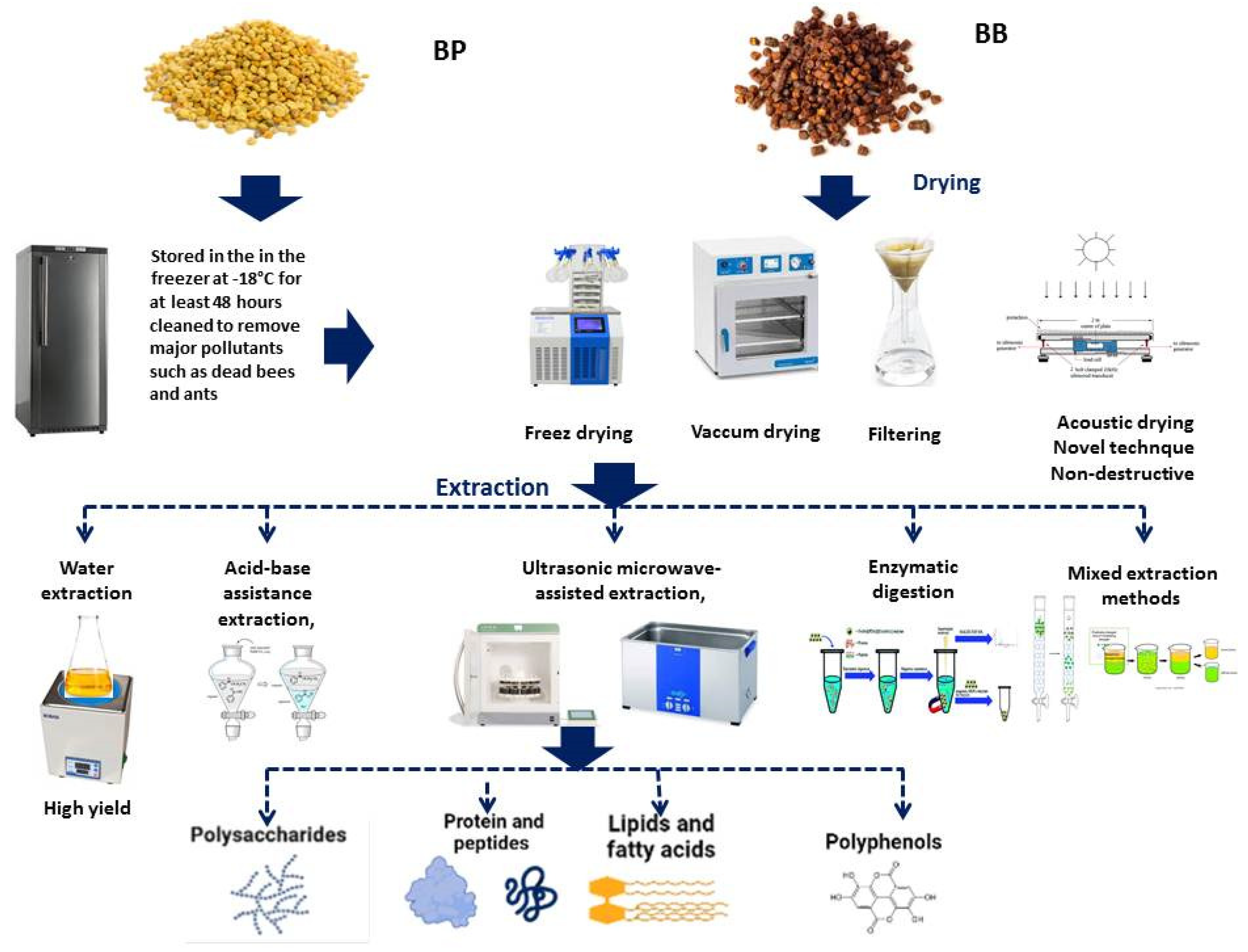 Molecules 28 00715 g004 Molecules 28 00715 g004