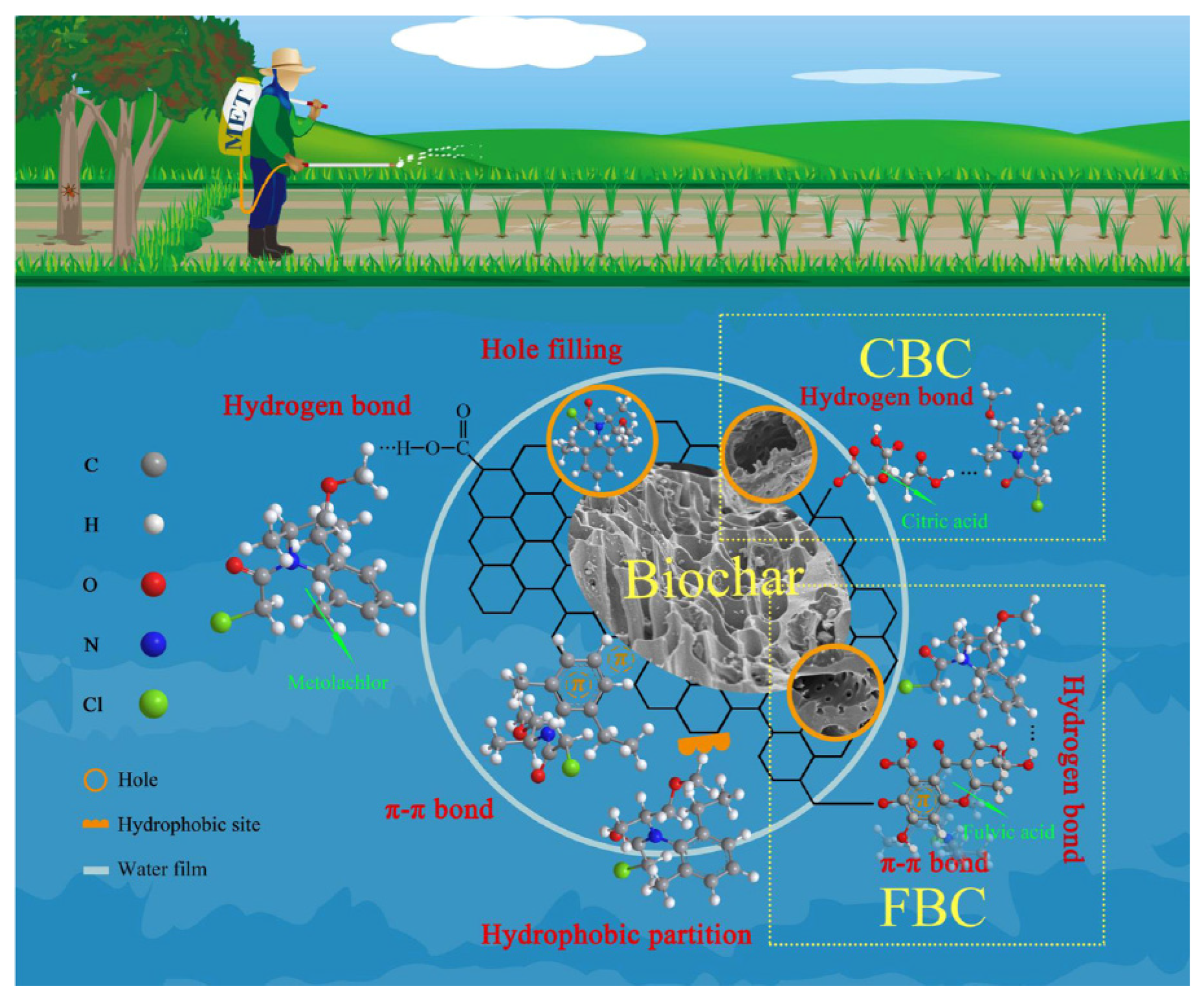 Molecules 28 00719 g003 Molecules 28 00719 g003