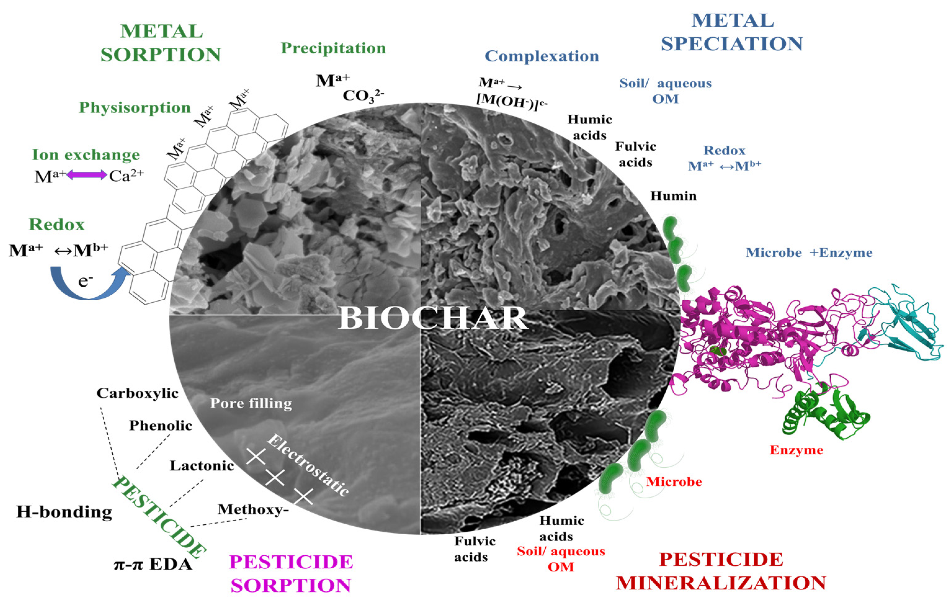 Molecules 28 00719 g004 Molecules 28 00719 g004