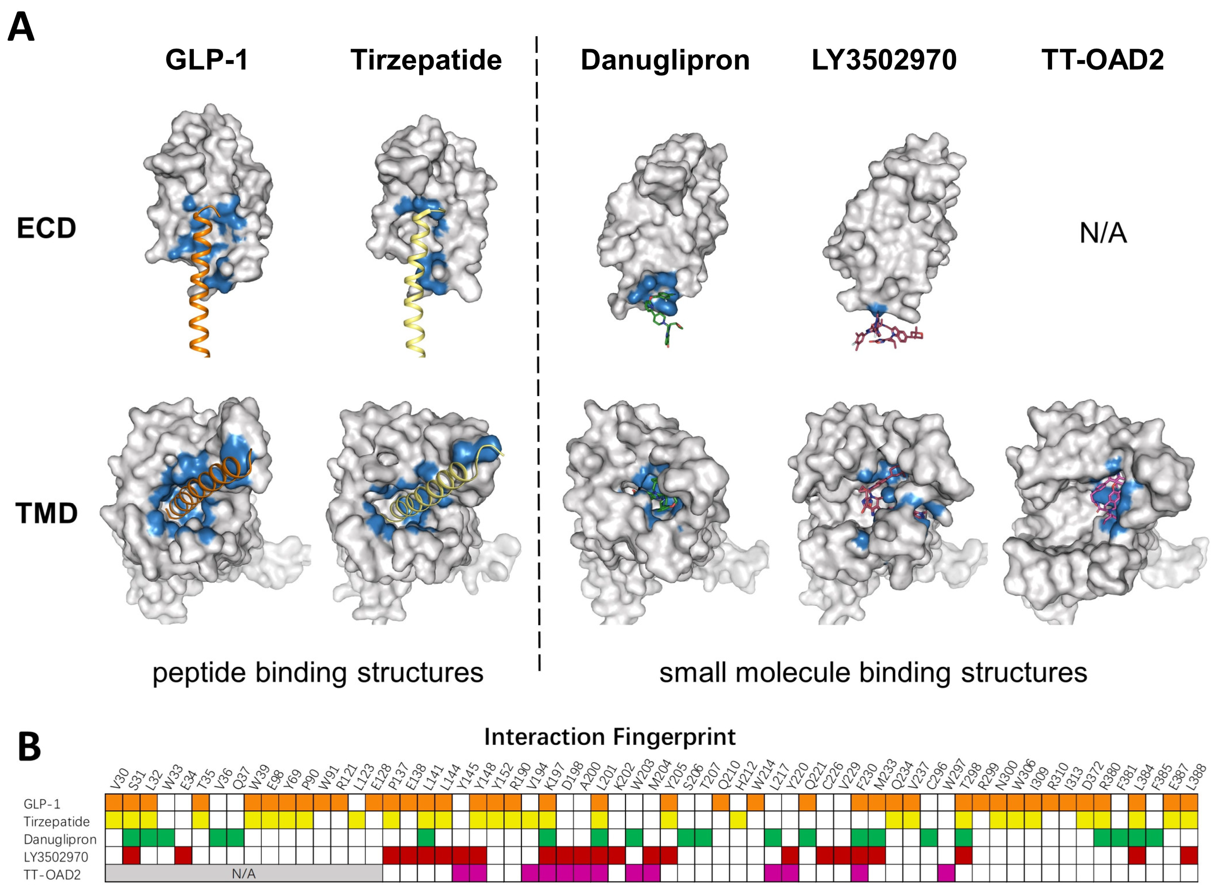 Molecules 28 00751 g003 Molecules 28 00751 g003