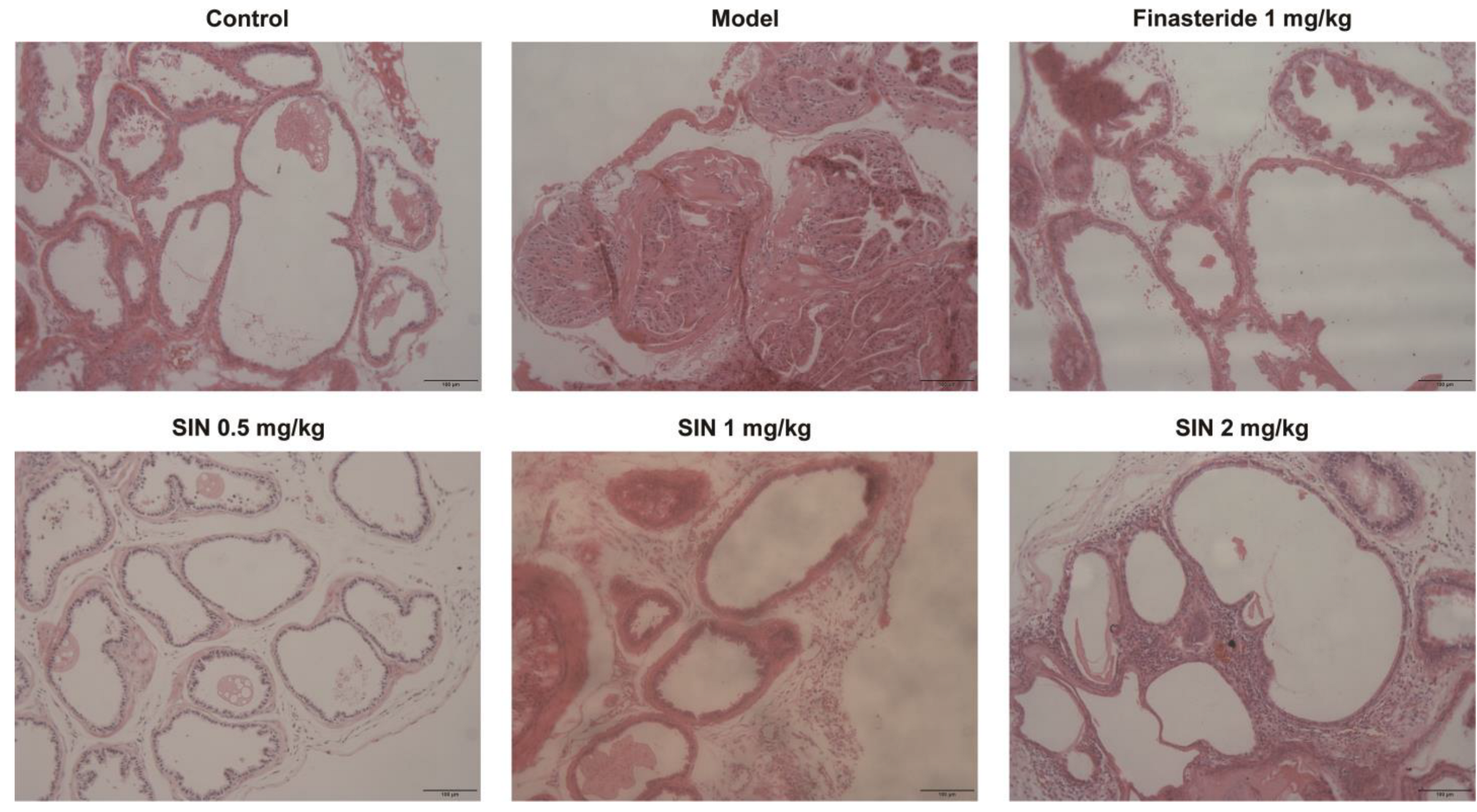 Molecules 28 00803 g005