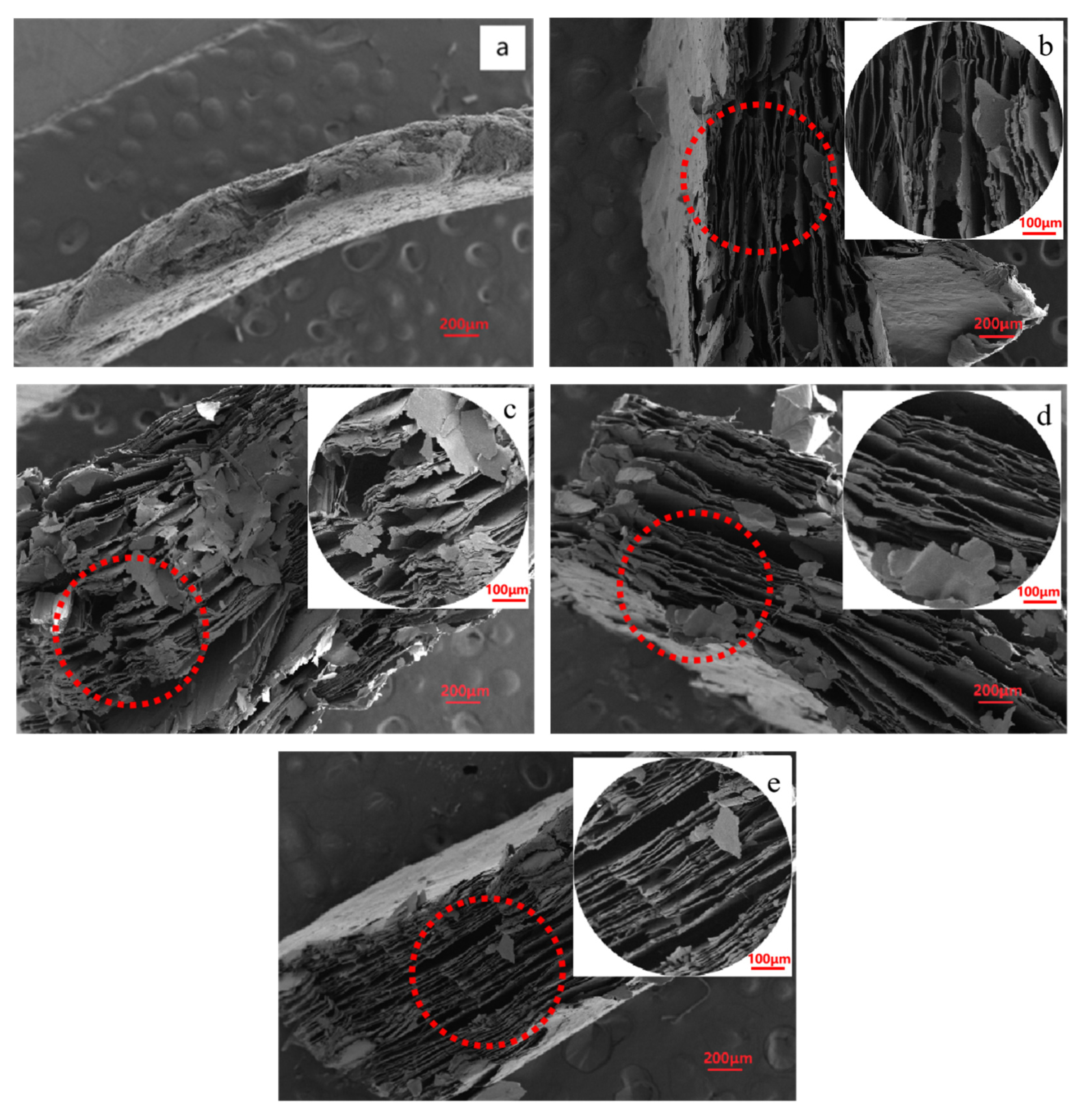 Molecules 28 00817 g005