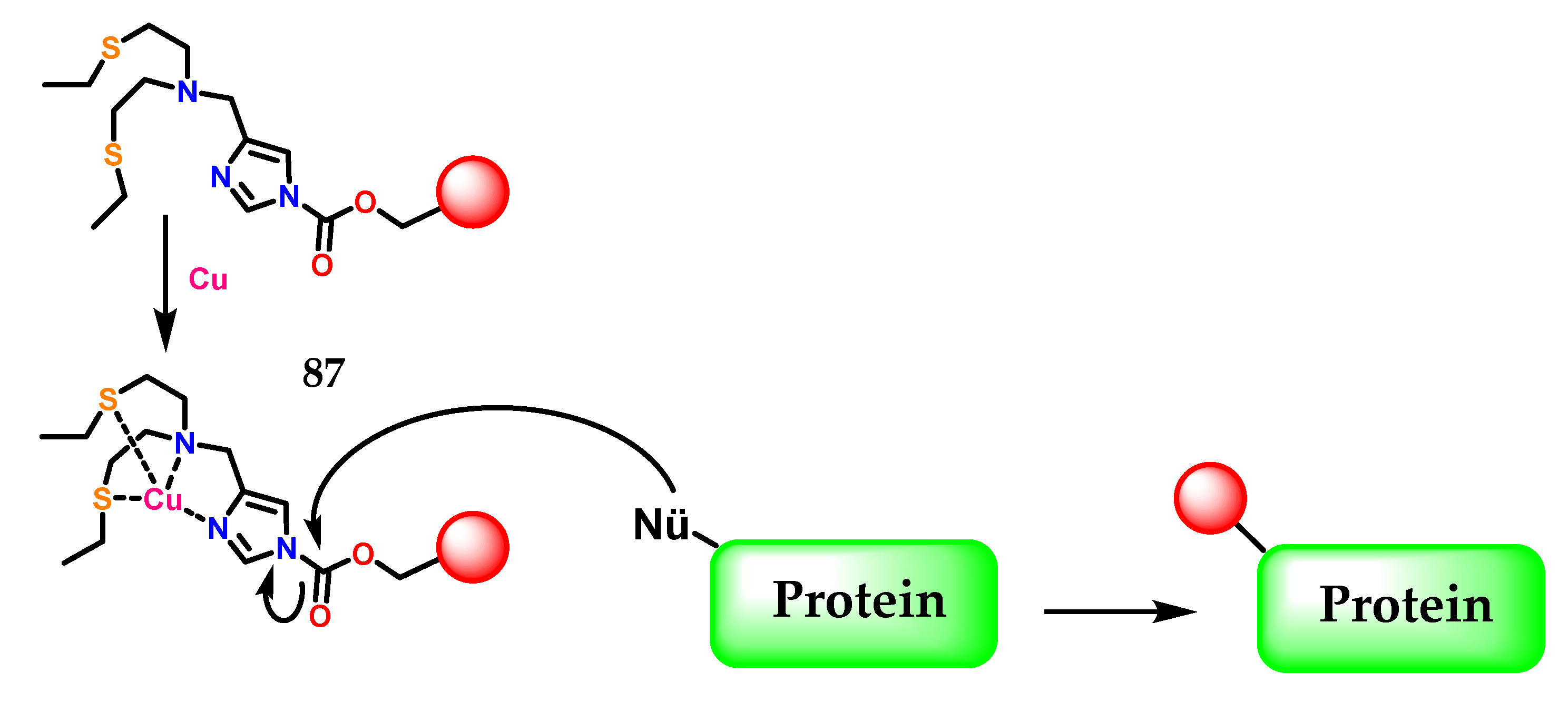 Molecules 28 00838 g035 Molecules 28 00838 g035