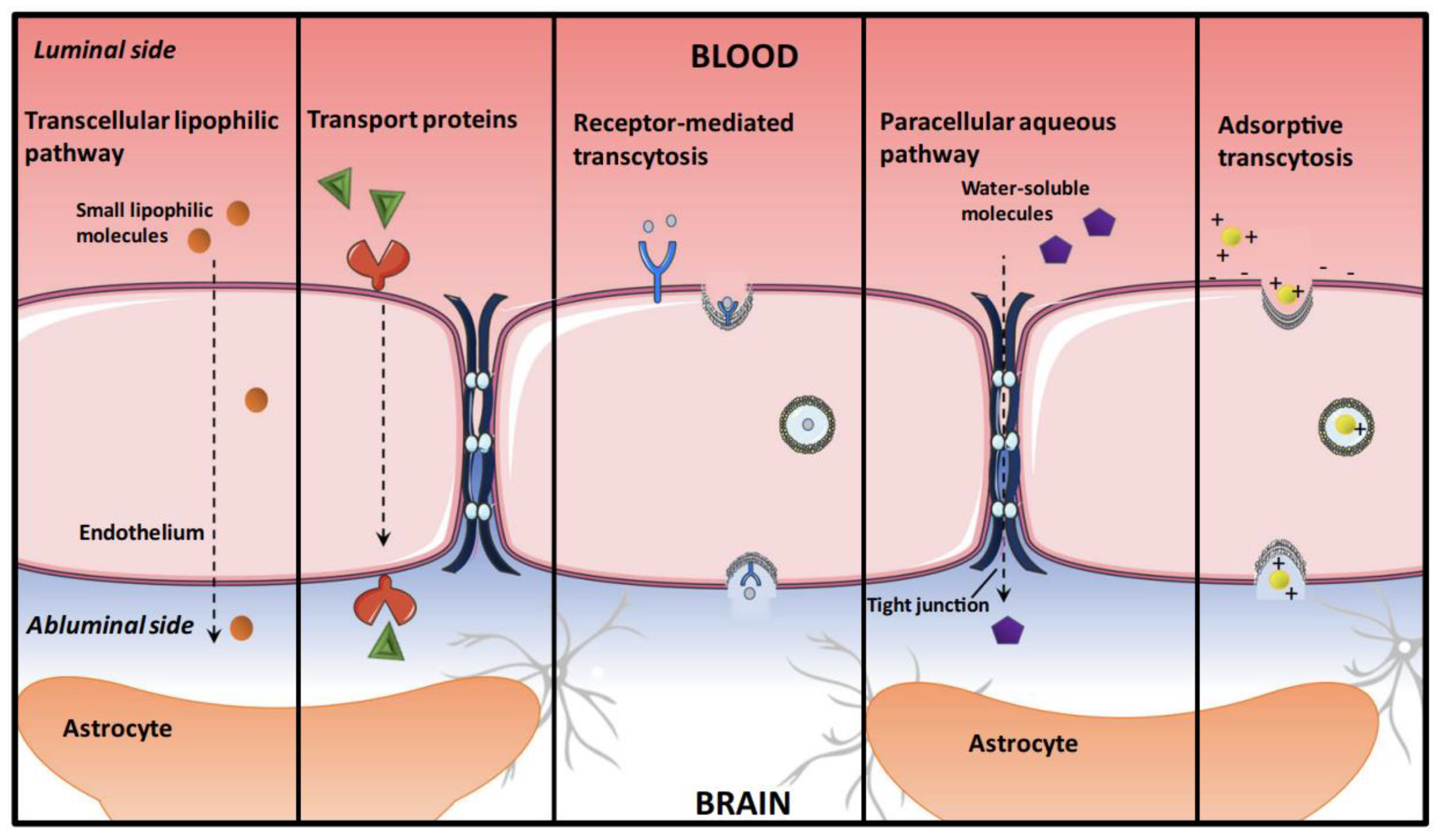 Molecules 28 00841 g001