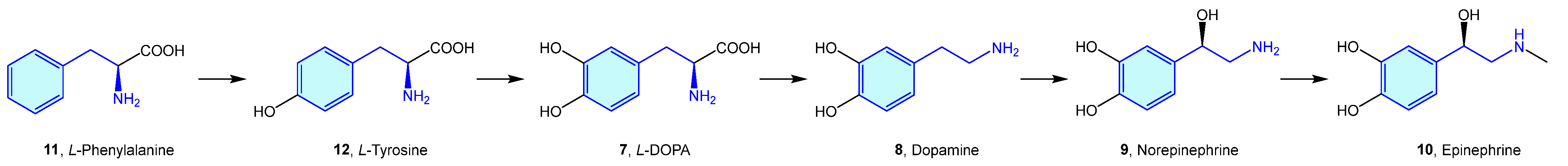 Molecules 28 00855 g004 Molecules 28 00855 g004