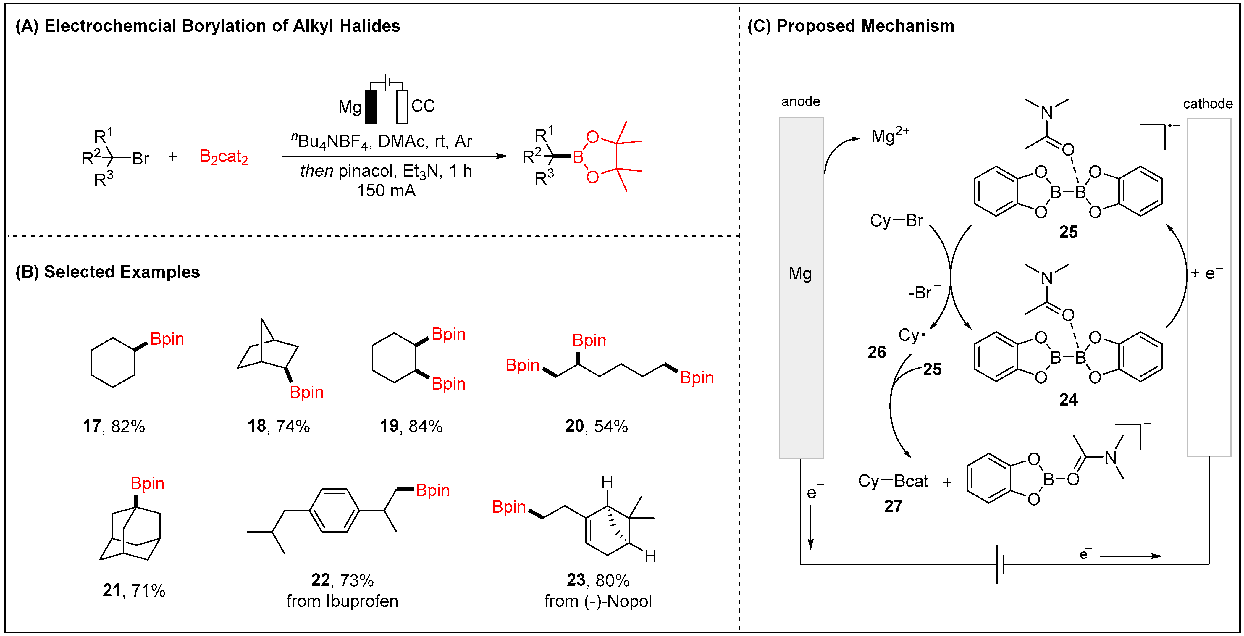Molecules 28 00857 g005 Molecules 28 00857 g005