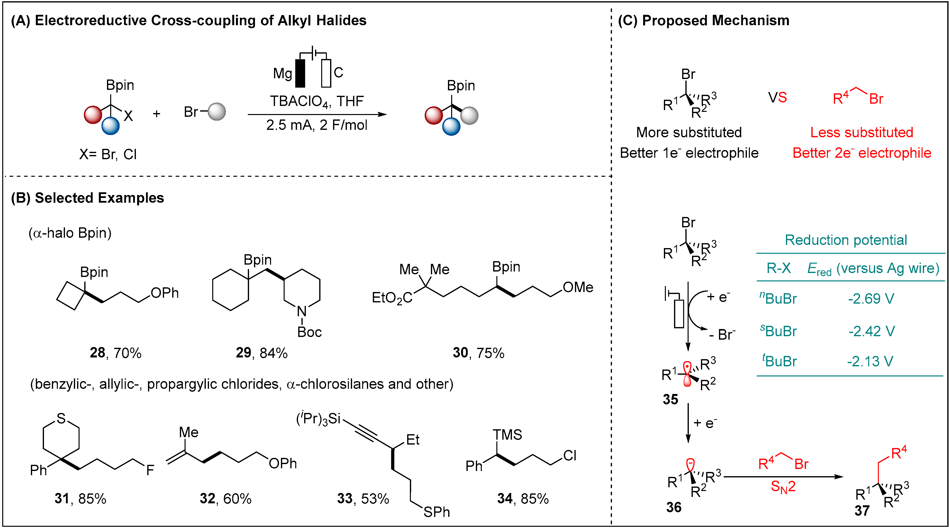Molecules 28 00857 g006 Molecules 28 00857 g006