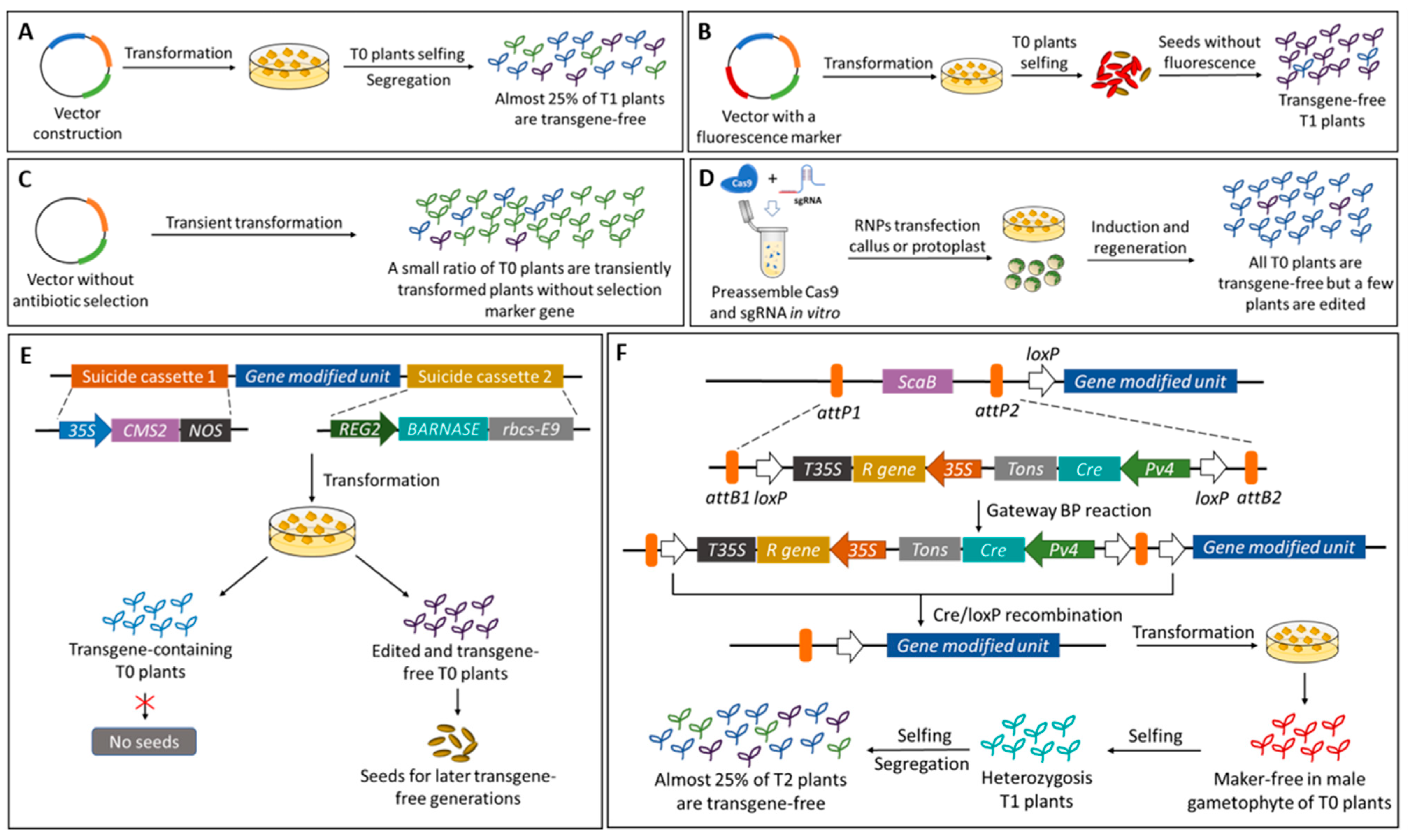 Molecules 28 00866 g002