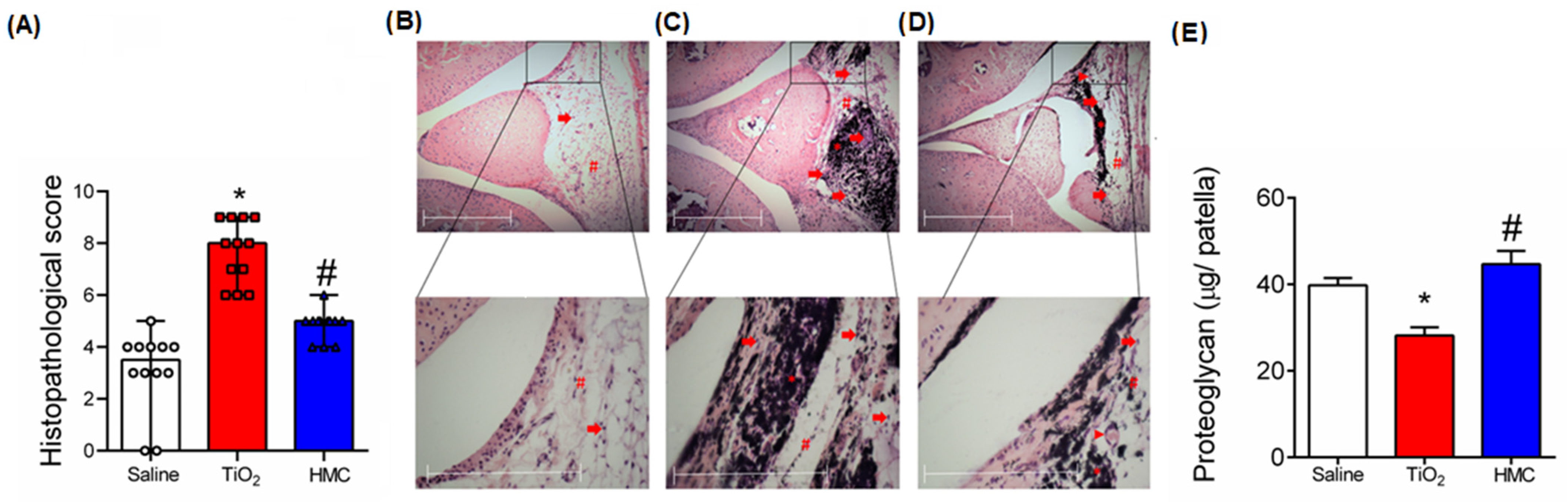 Molecules 28 00872 g005