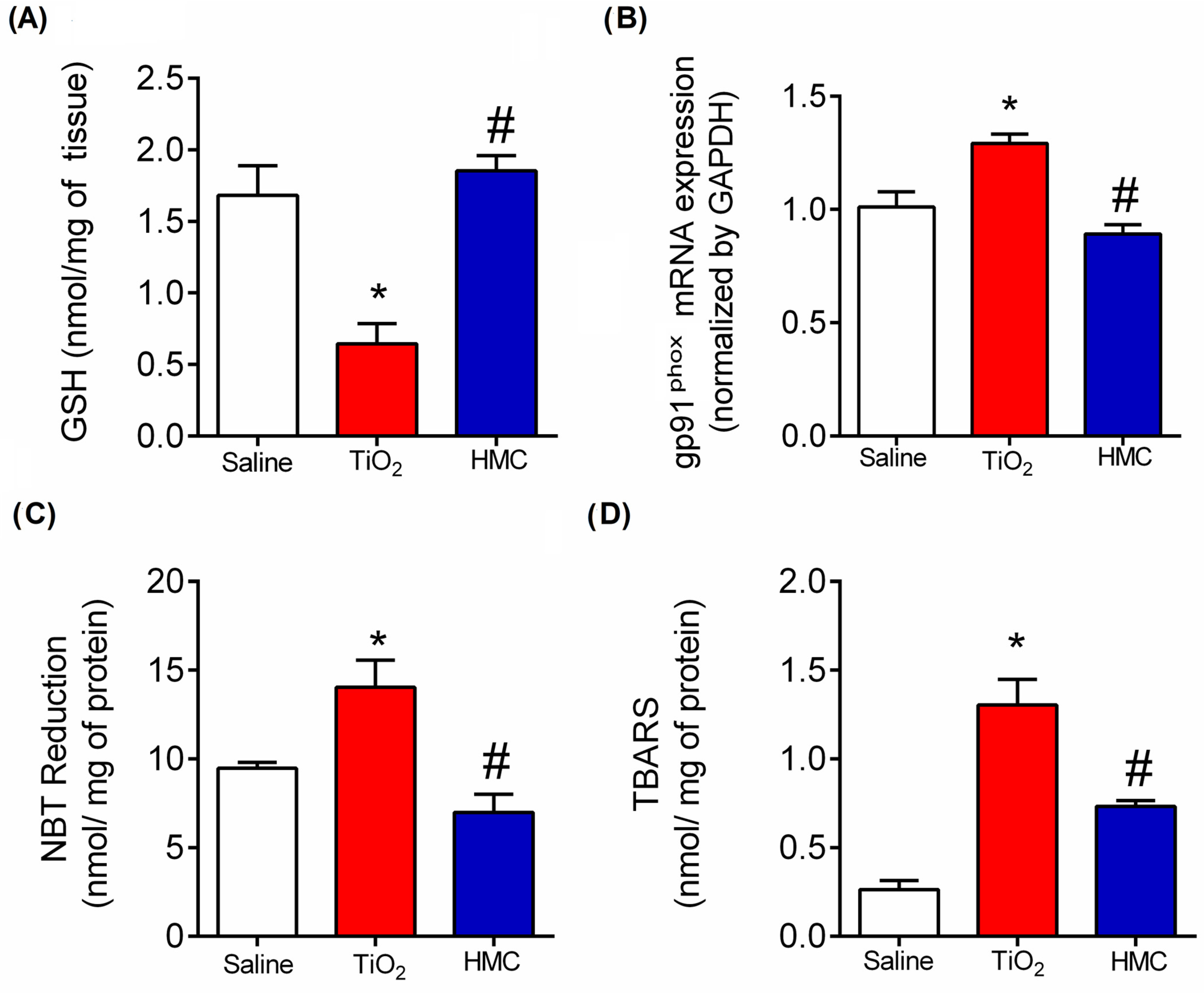 Molecules 28 00872 g006