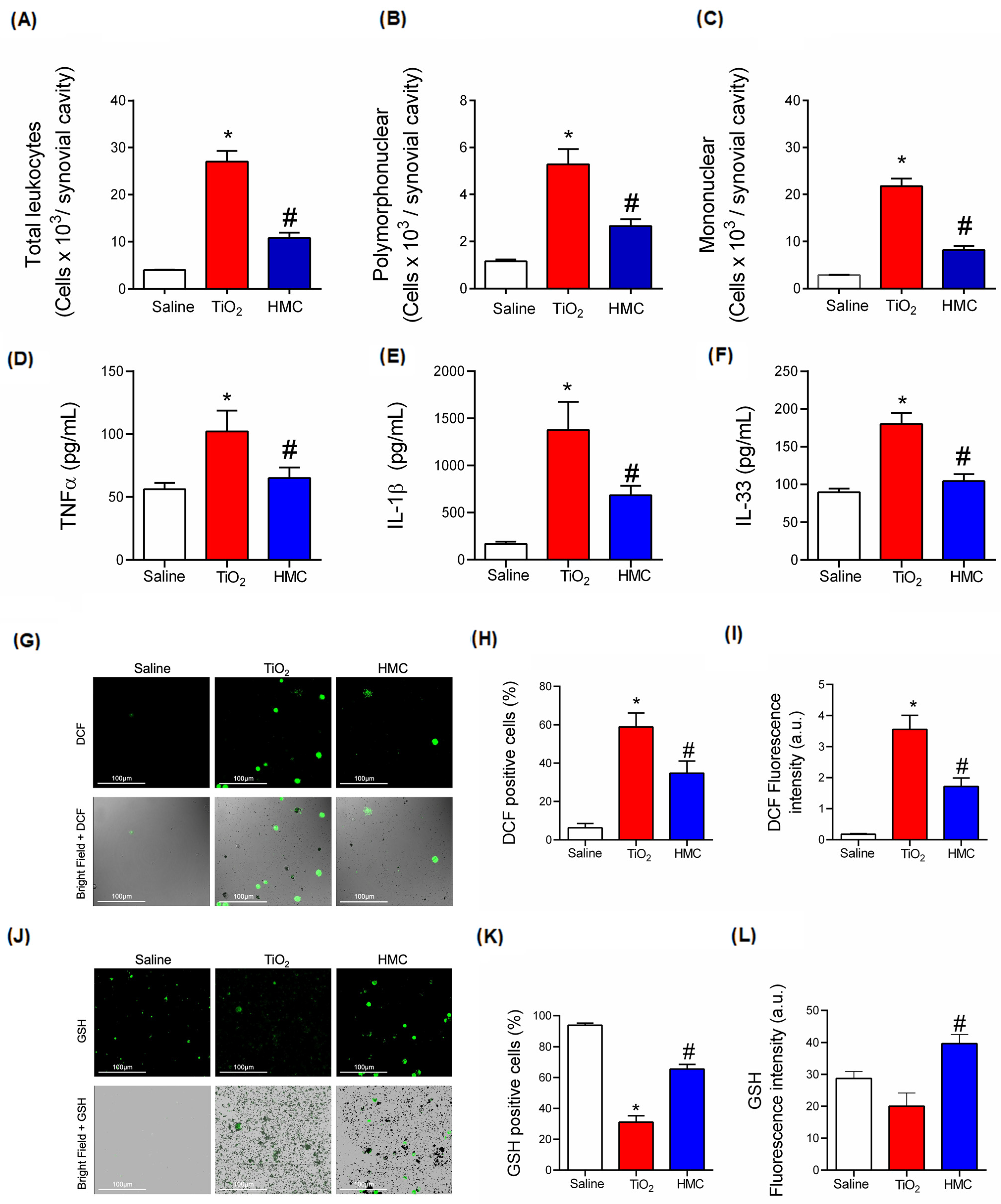 Molecules 28 00872 g007