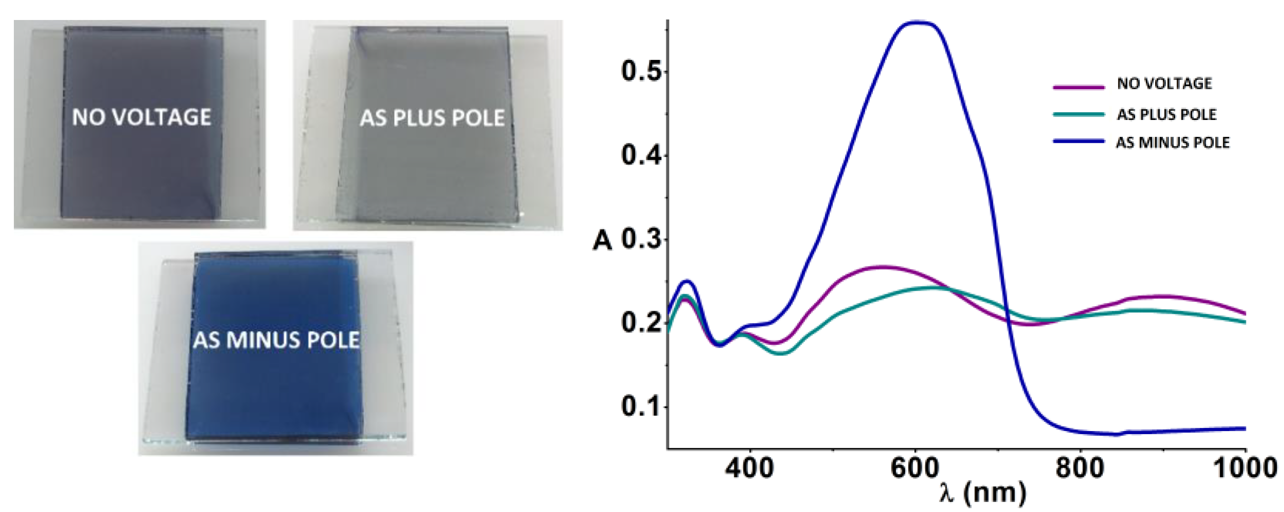 Molecules 28 00883 g001 Molecules 28 00883 g001