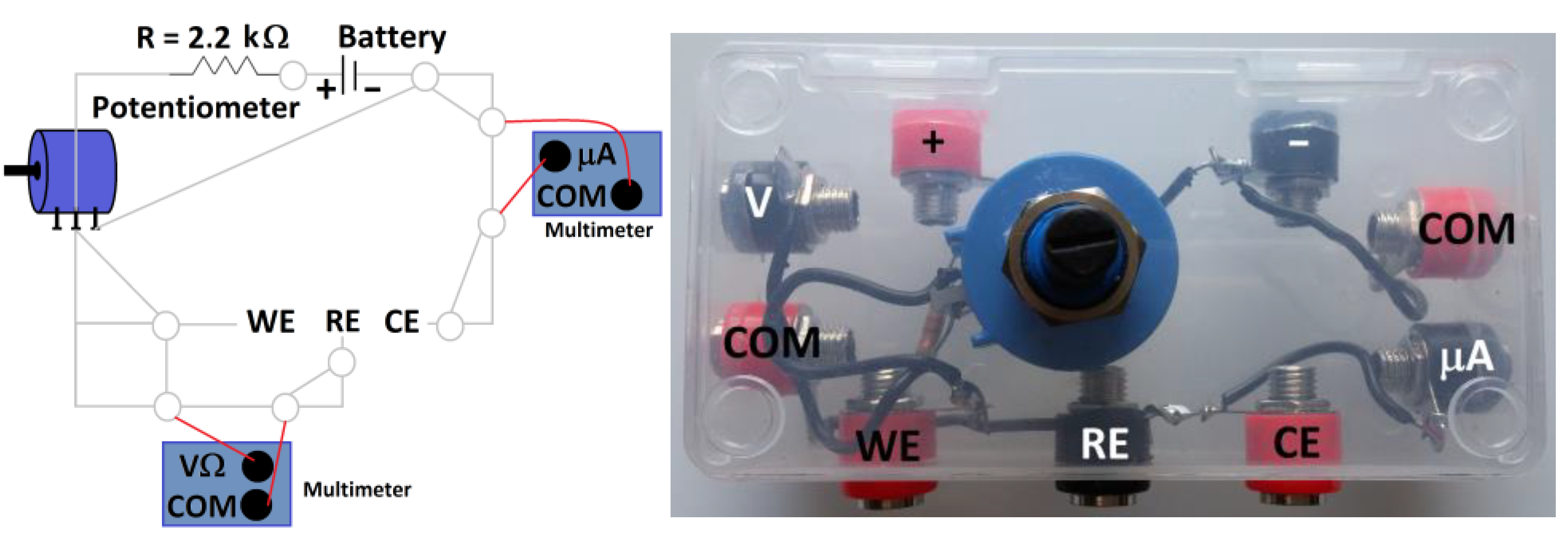 Molecules 28 00883 g002 Molecules 28 00883 g002
