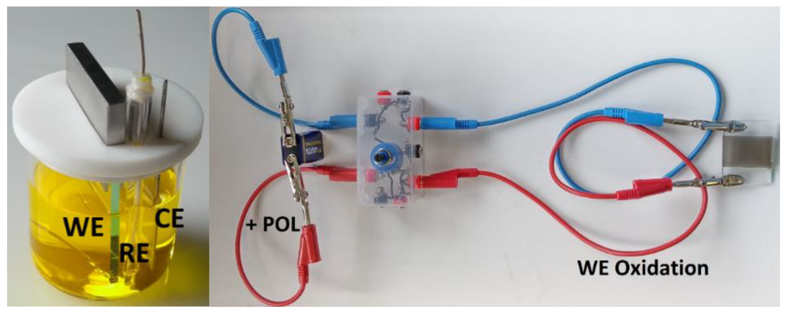 Molecules 28 00883 g003 Molecules 28 00883 g003