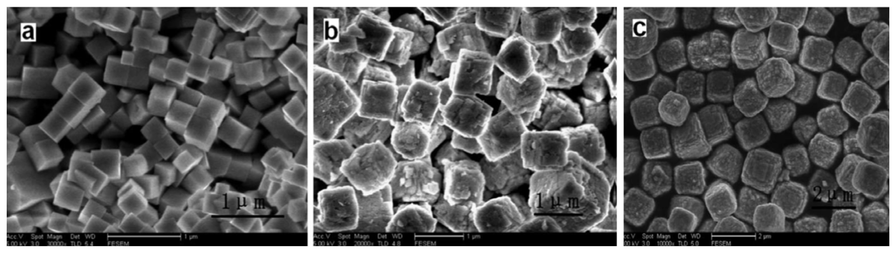 Molecules 28 00897 g009 Molecules 28 00897 g009