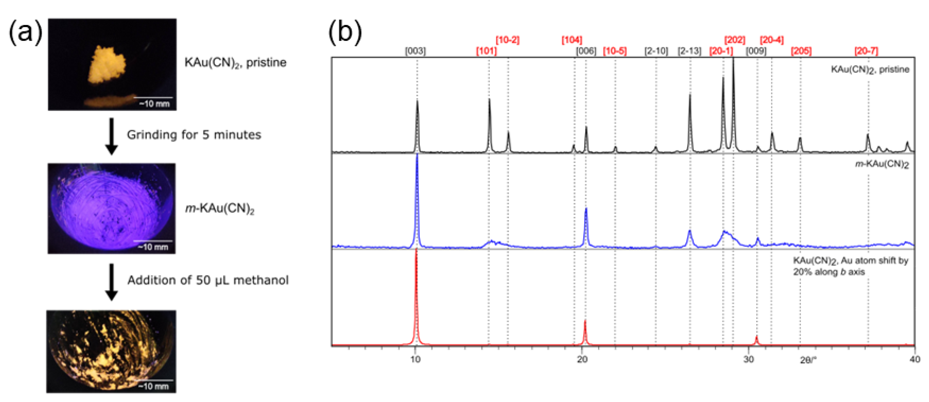 Molecules 28 00897 g013 Molecules 28 00897 g013