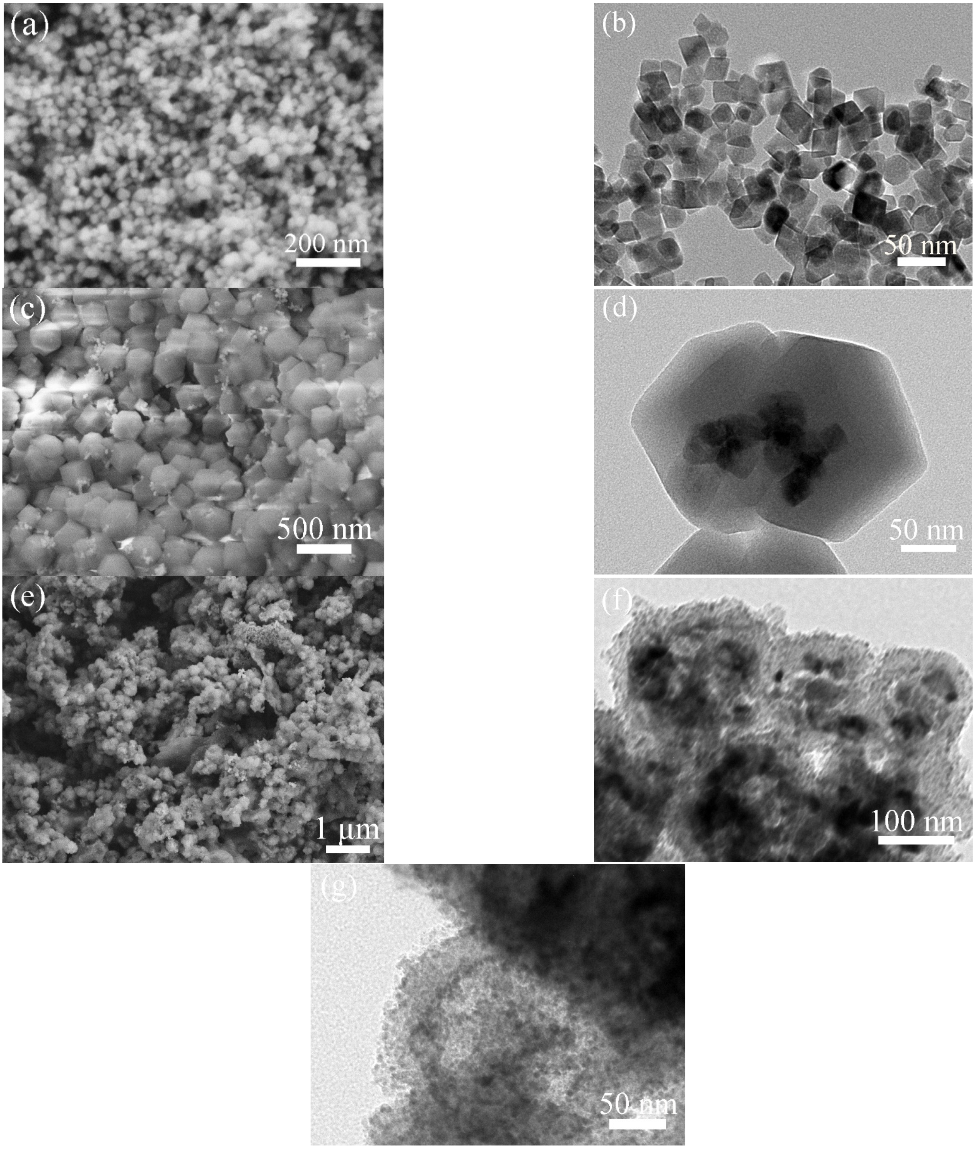 Molecules 28 00898 g002 Molecules 28 00898 g002