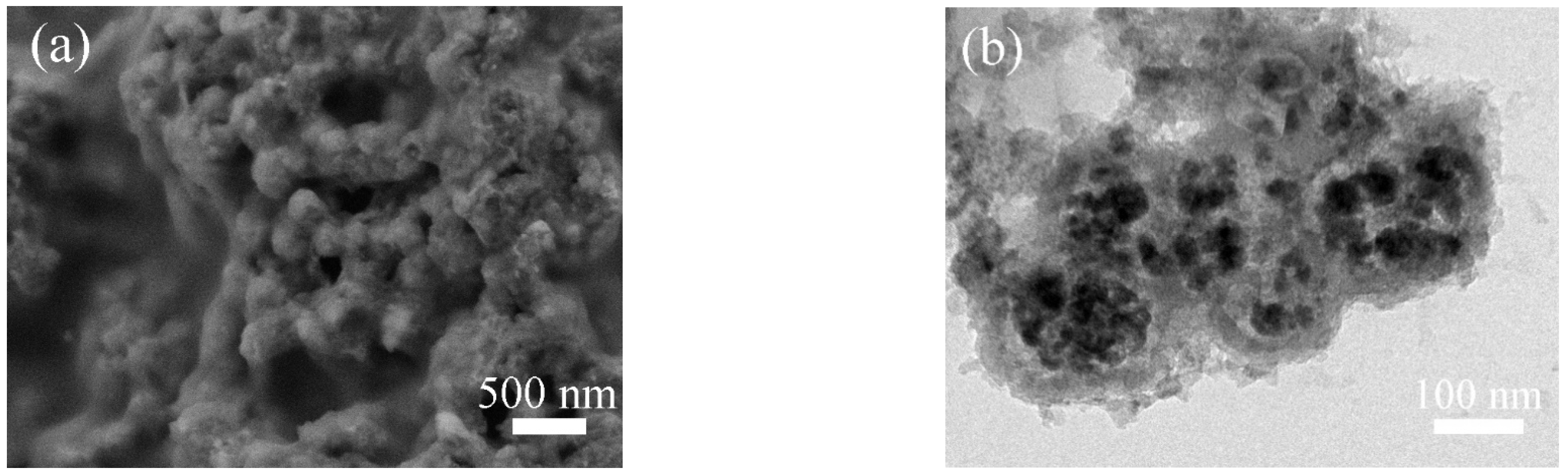 Molecules 28 00898 g008 Molecules 28 00898 g008