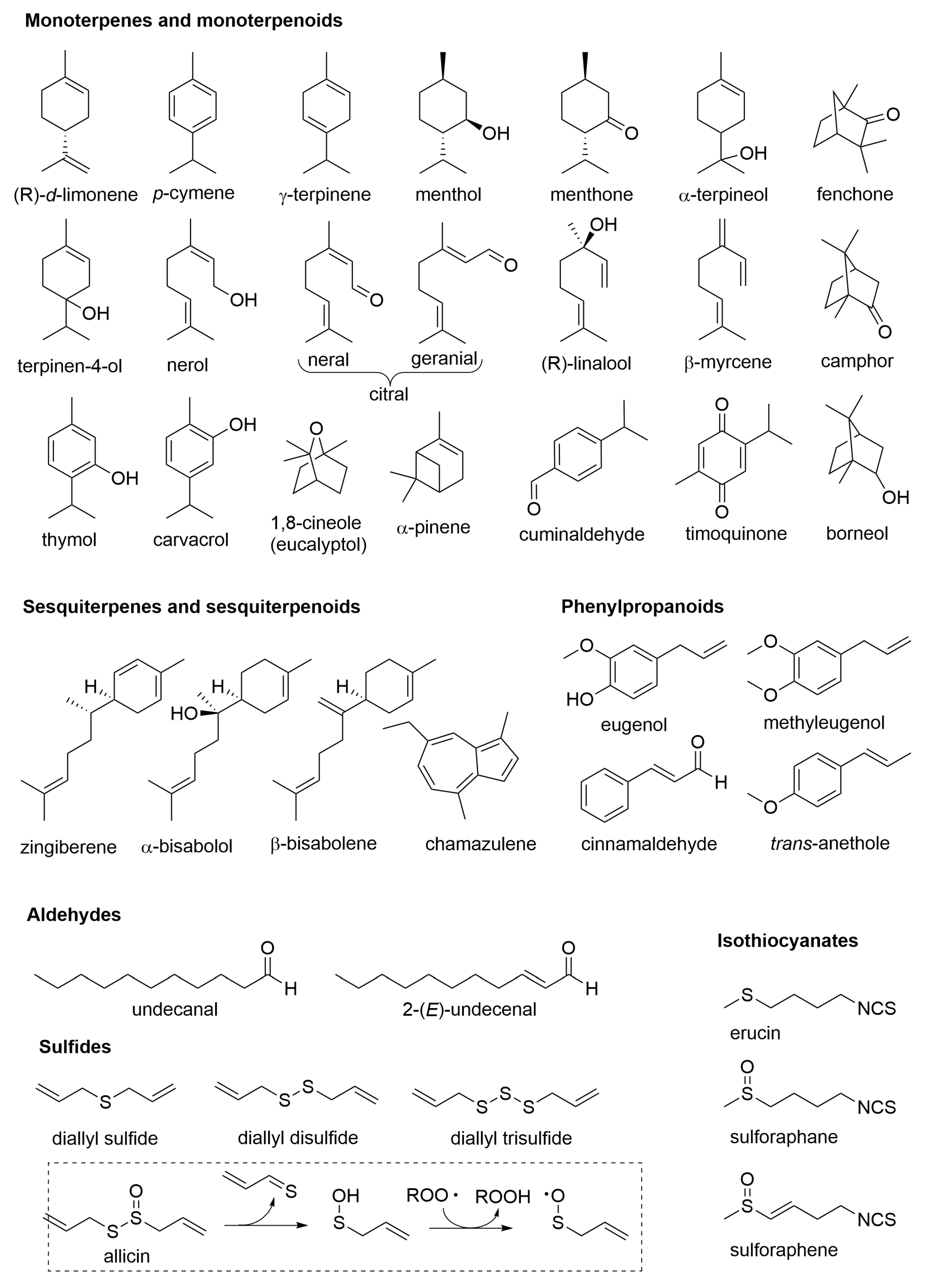 Molecules 28 00901 g002