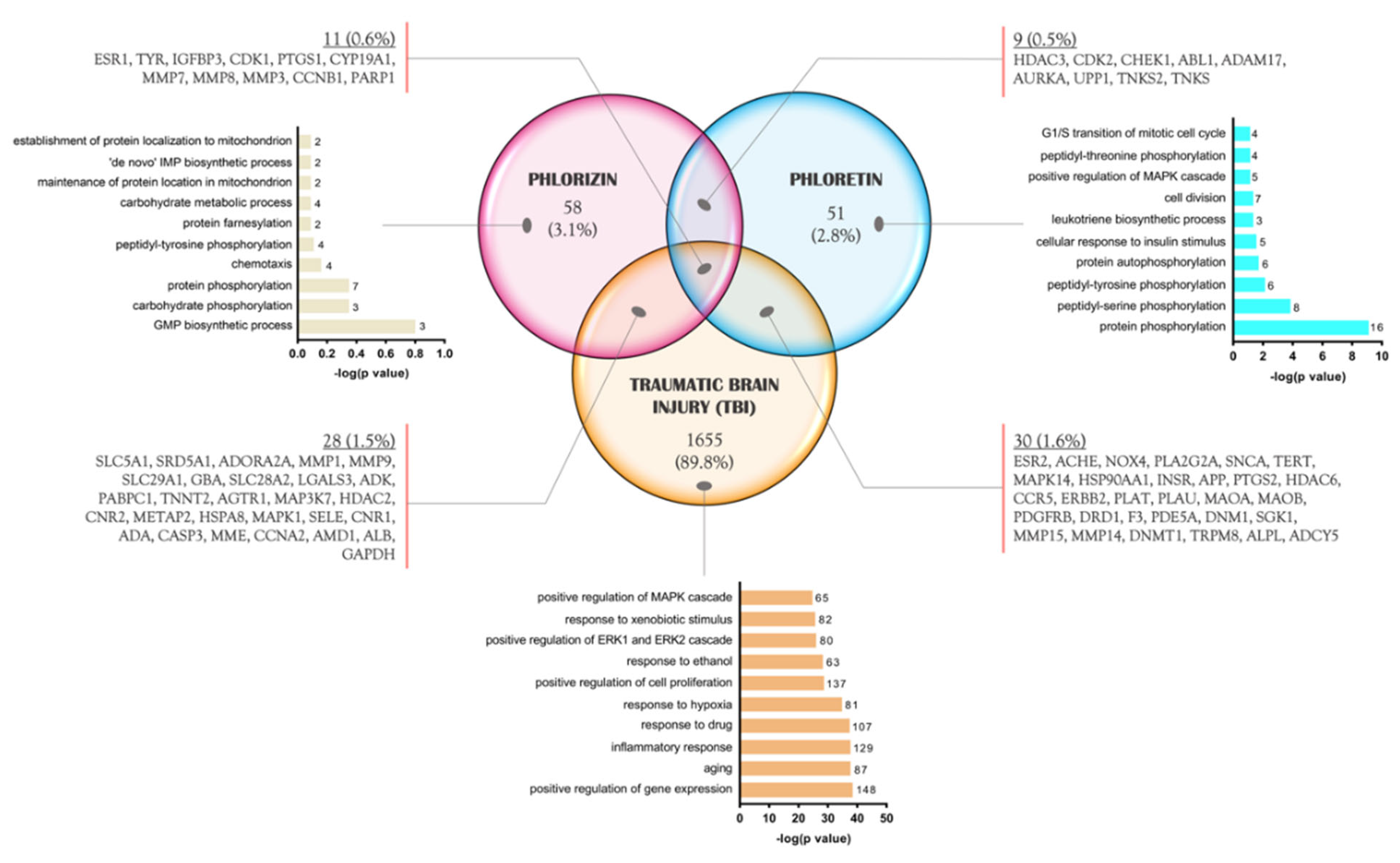 Molecules 28 00919 g003 Molecules 28 00919 g003