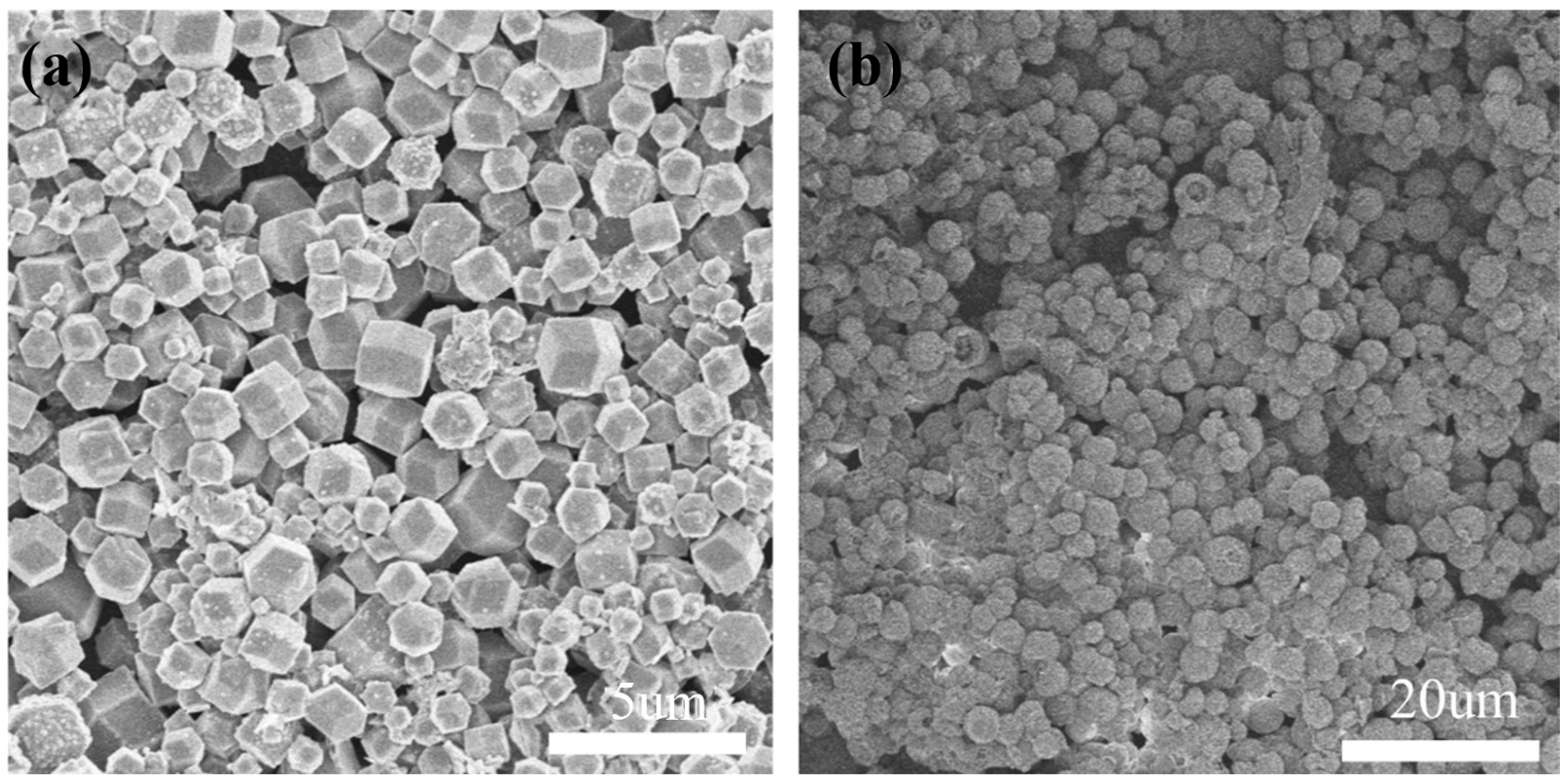 Molecules 28 00922 g002