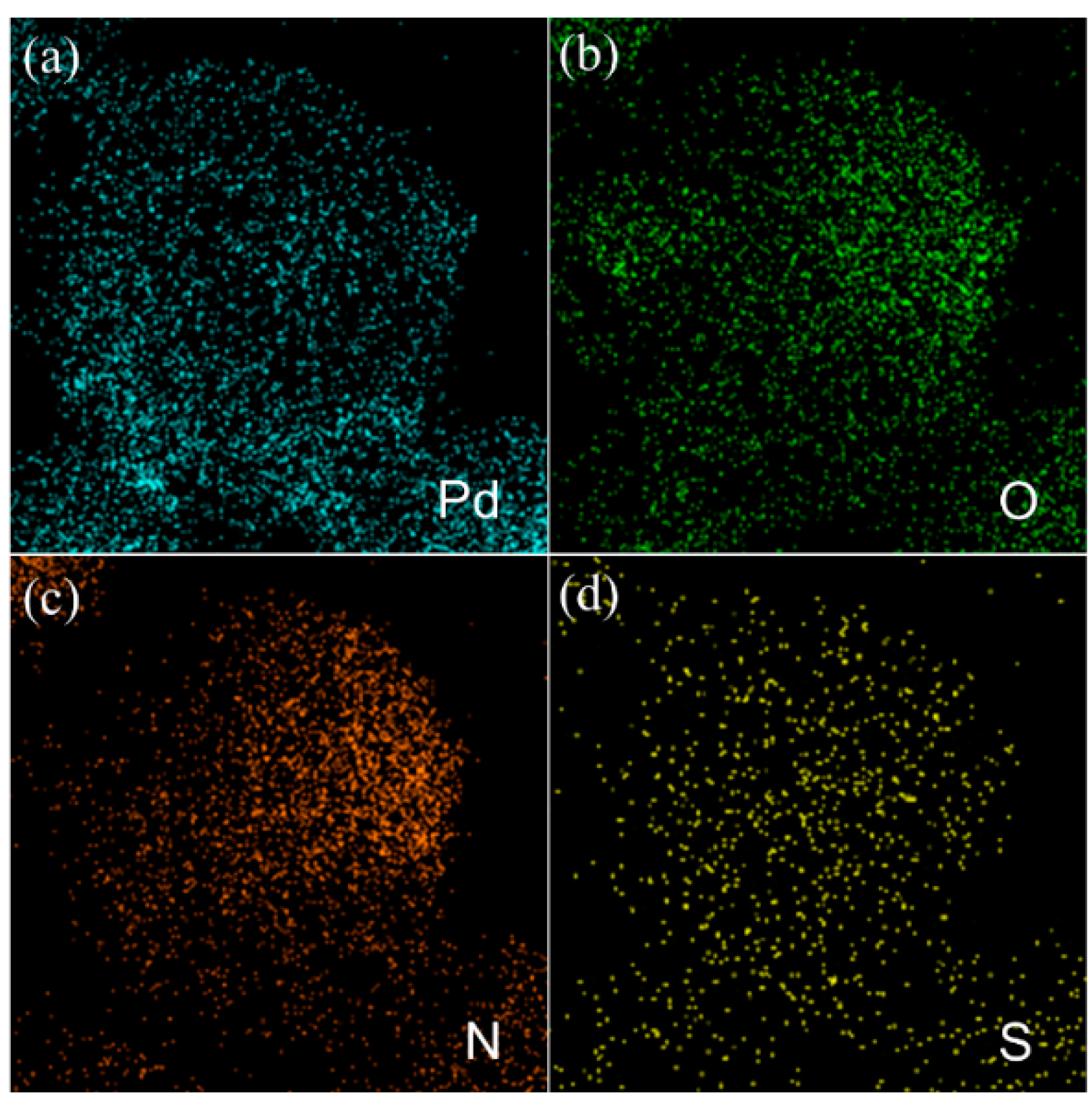 Molecules 28 00922 g006