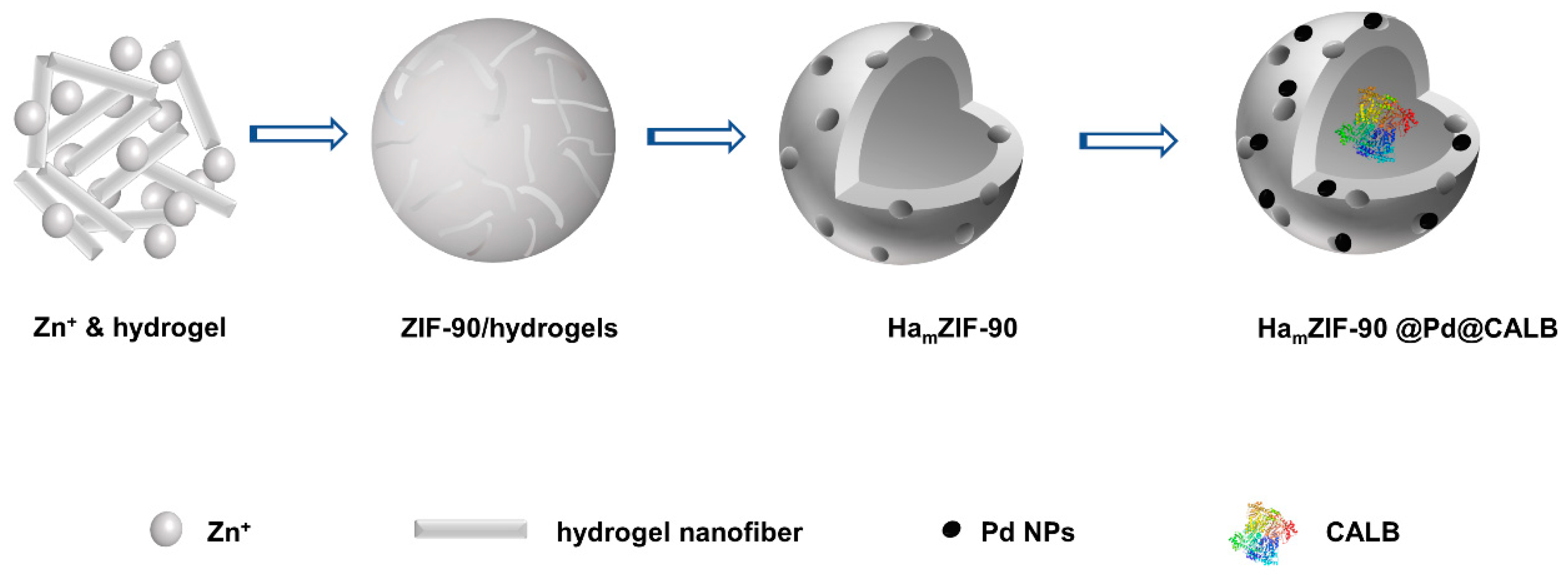 Molecules 28 00922 sch001